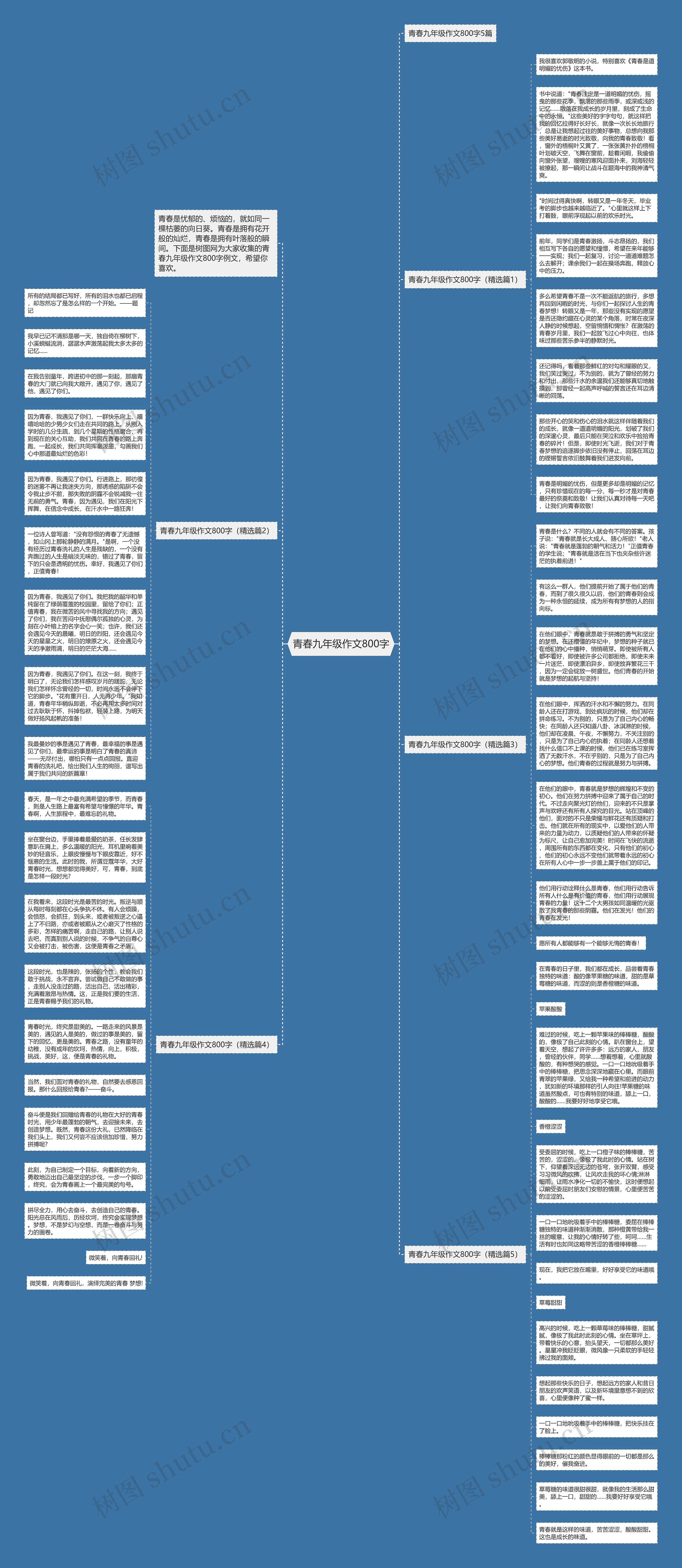 青春九年级作文800字思维导图