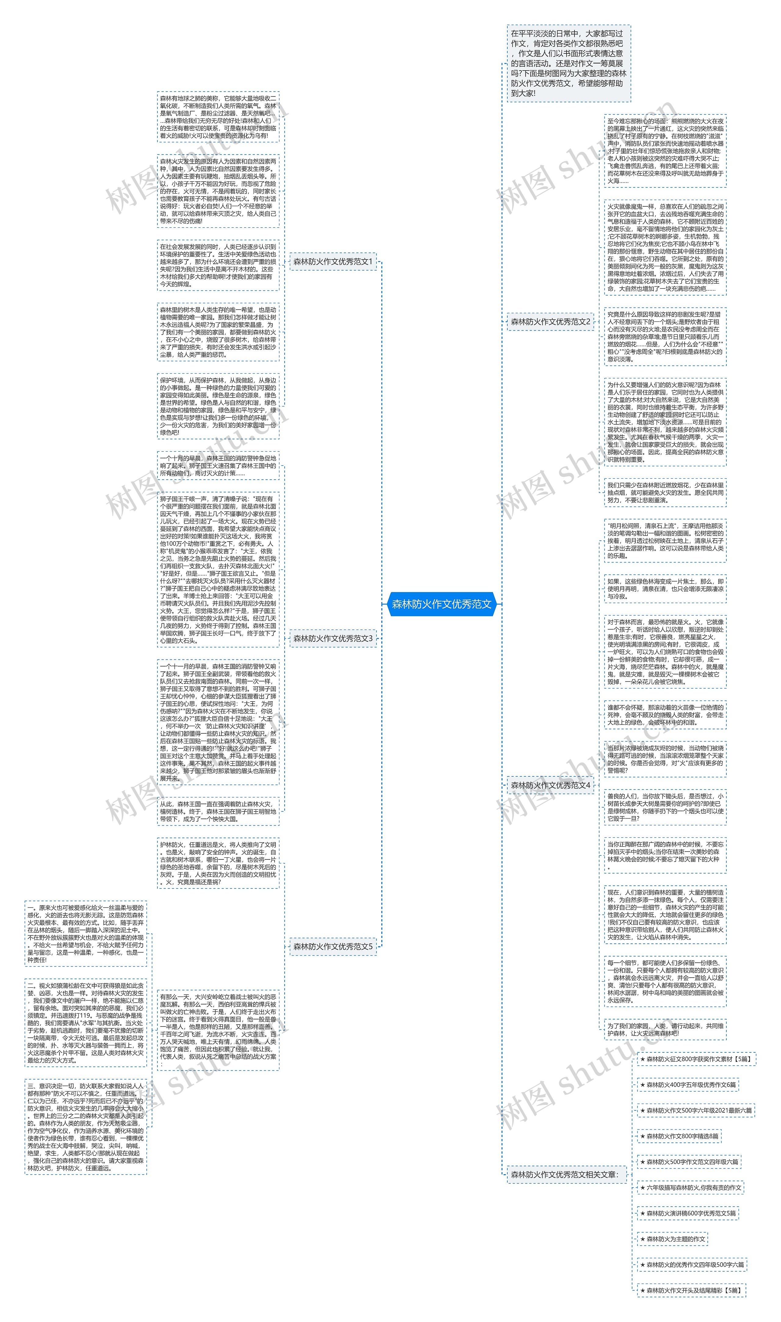 森林防火作文优秀范文