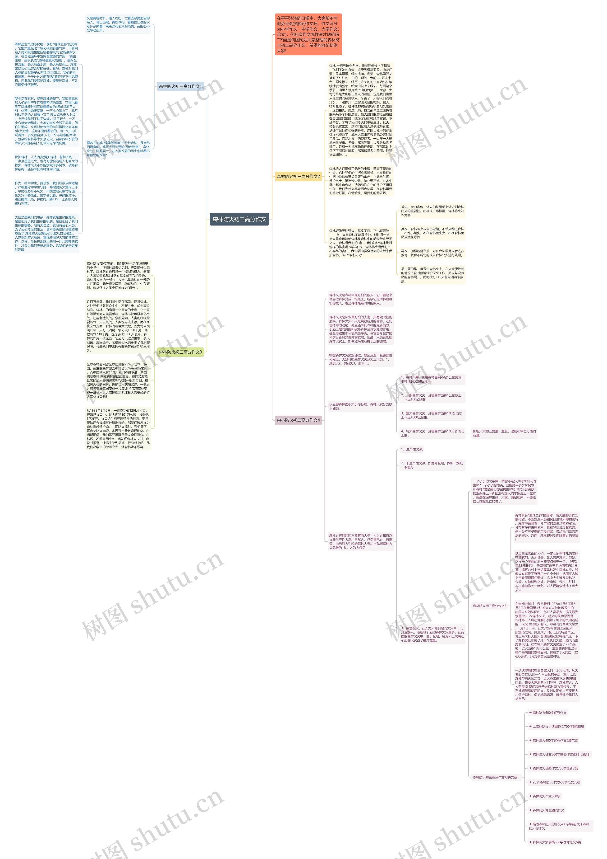 森林防火初三高分作文思维导图