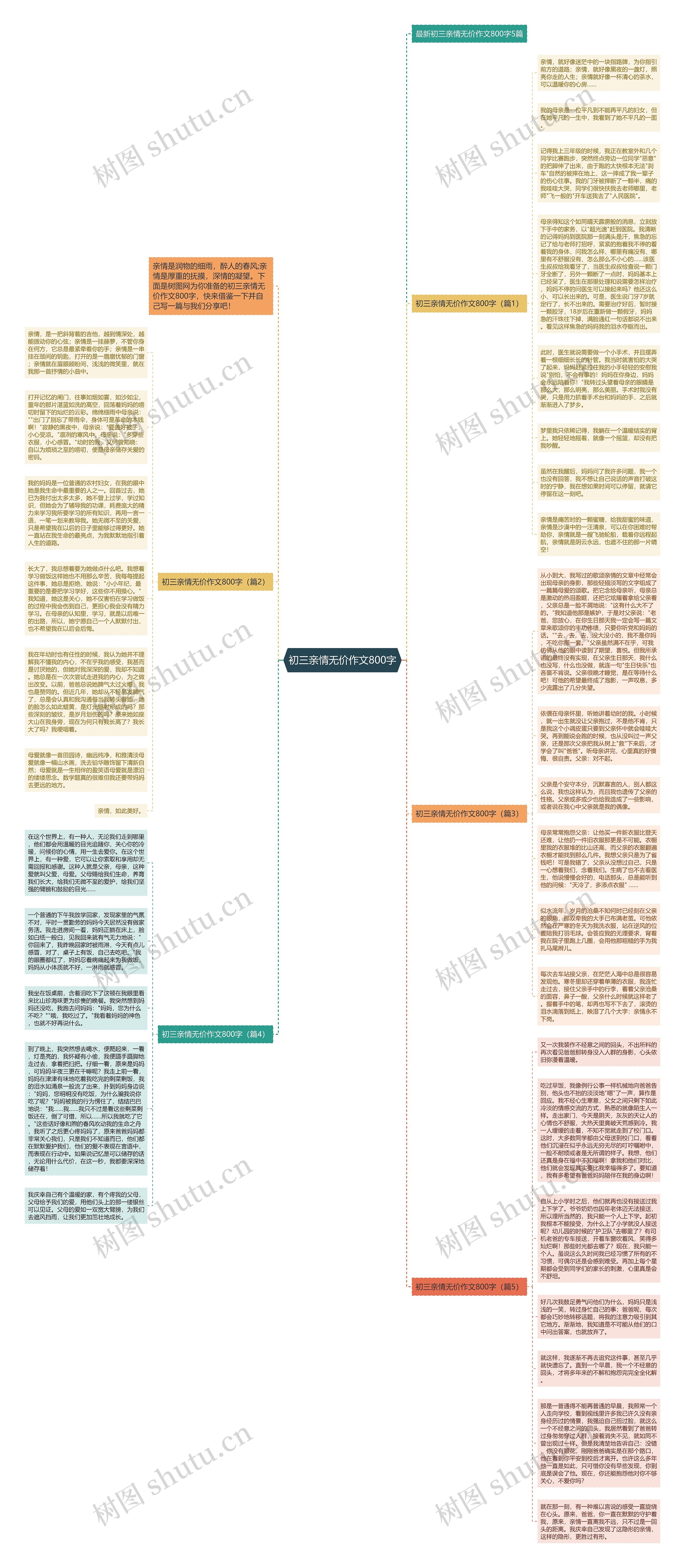 初三亲情无价作文800字思维导图