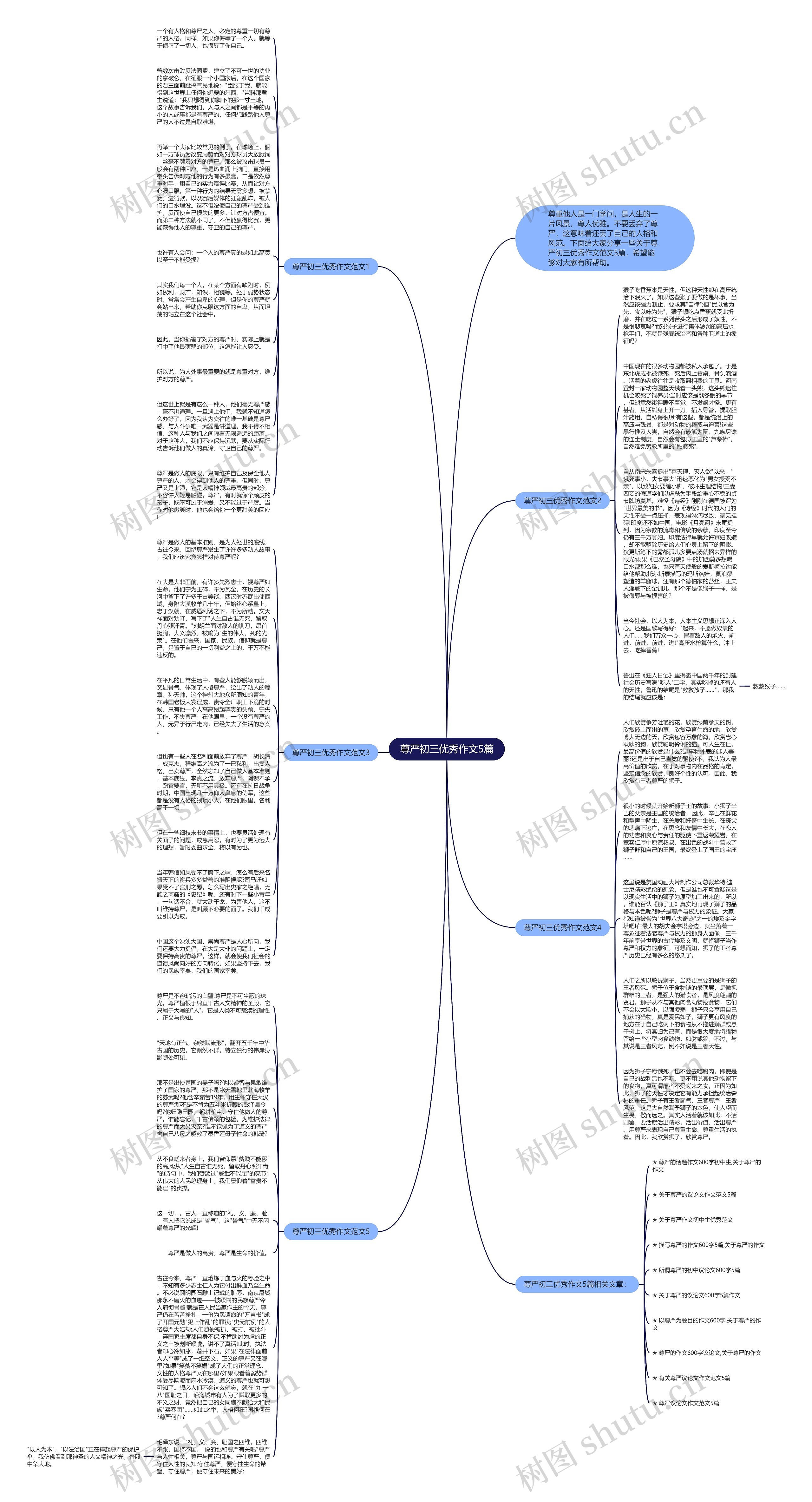 尊严初三优秀作文5篇思维导图