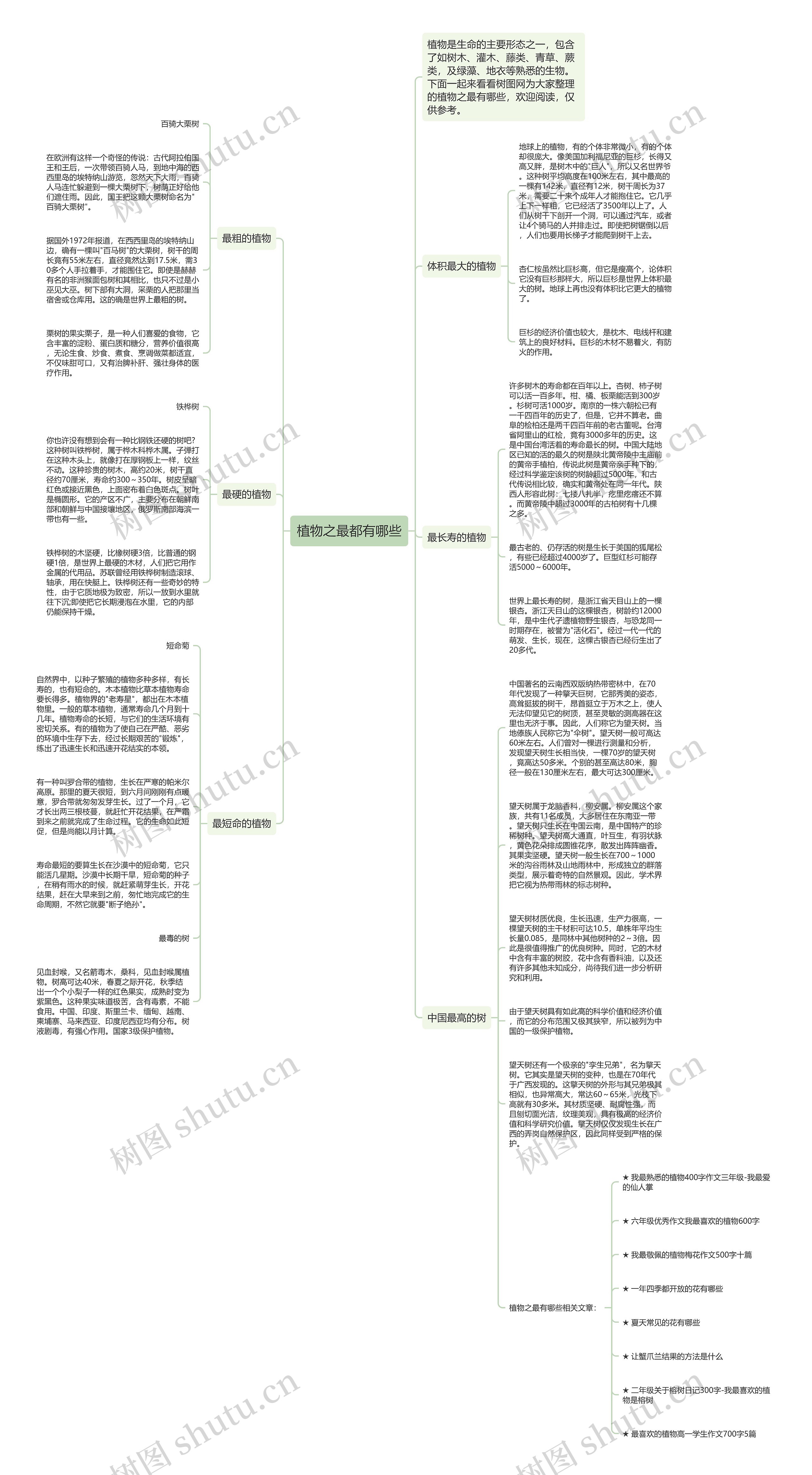 植物之最都有哪些思维导图