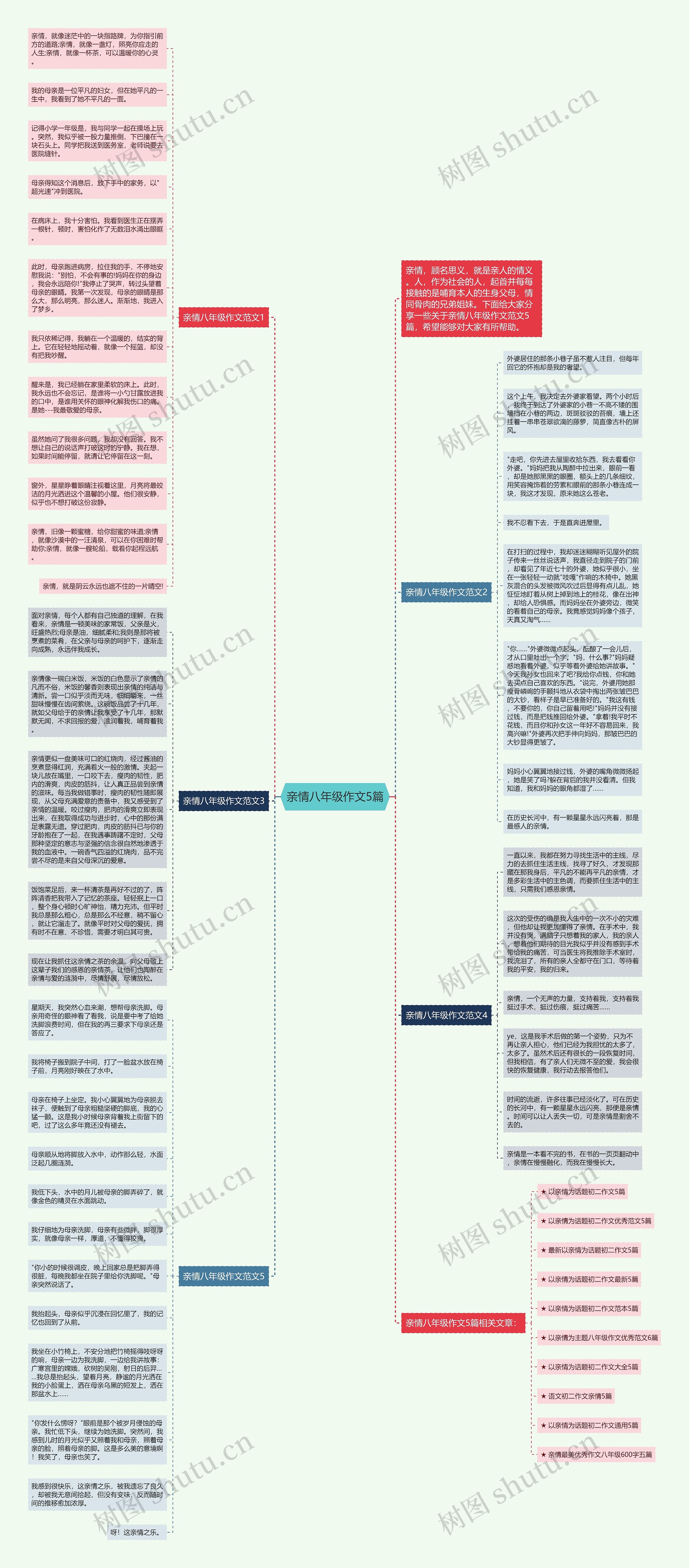 亲情八年级作文5篇思维导图
