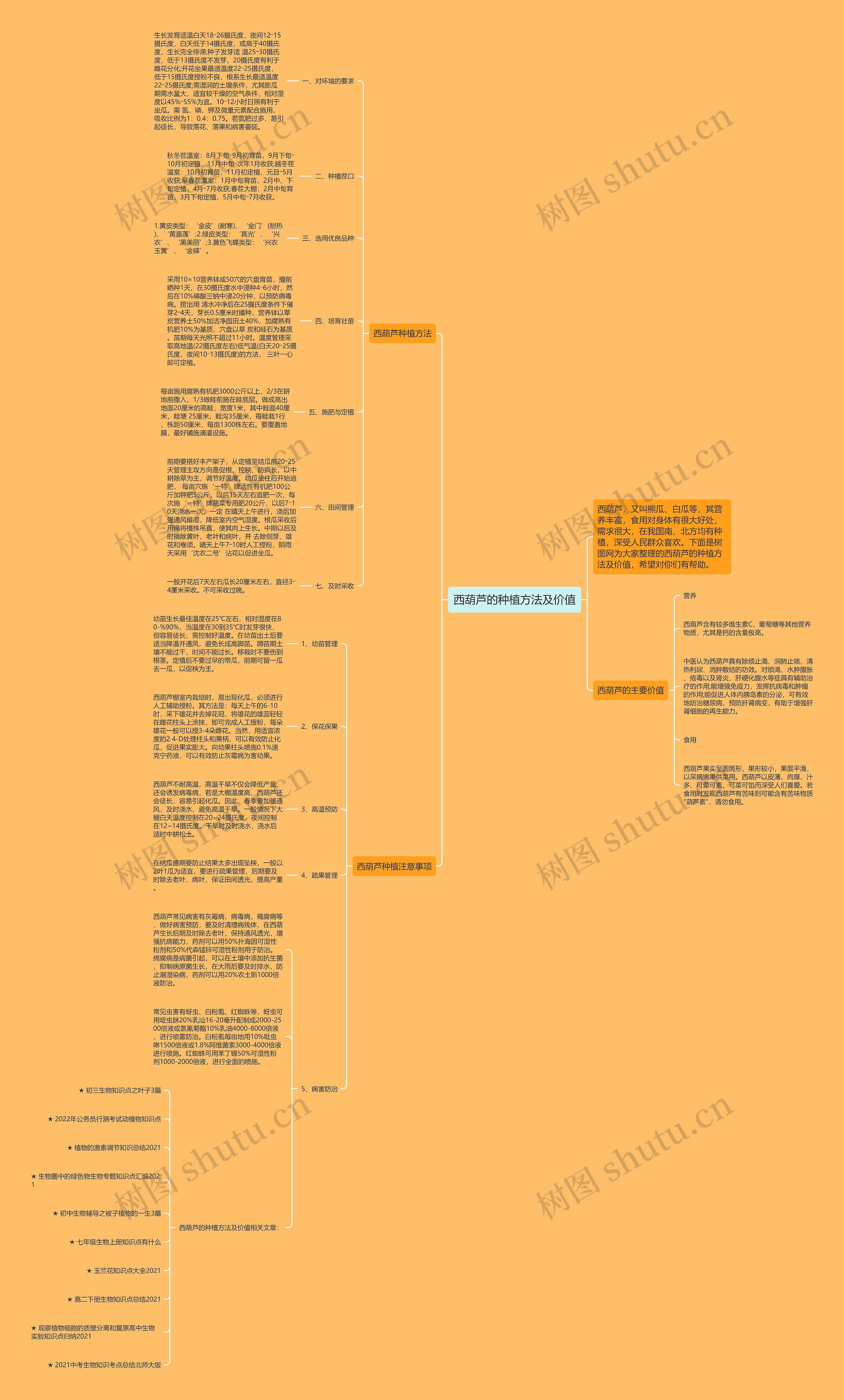 西葫芦的种植方法及价值思维导图