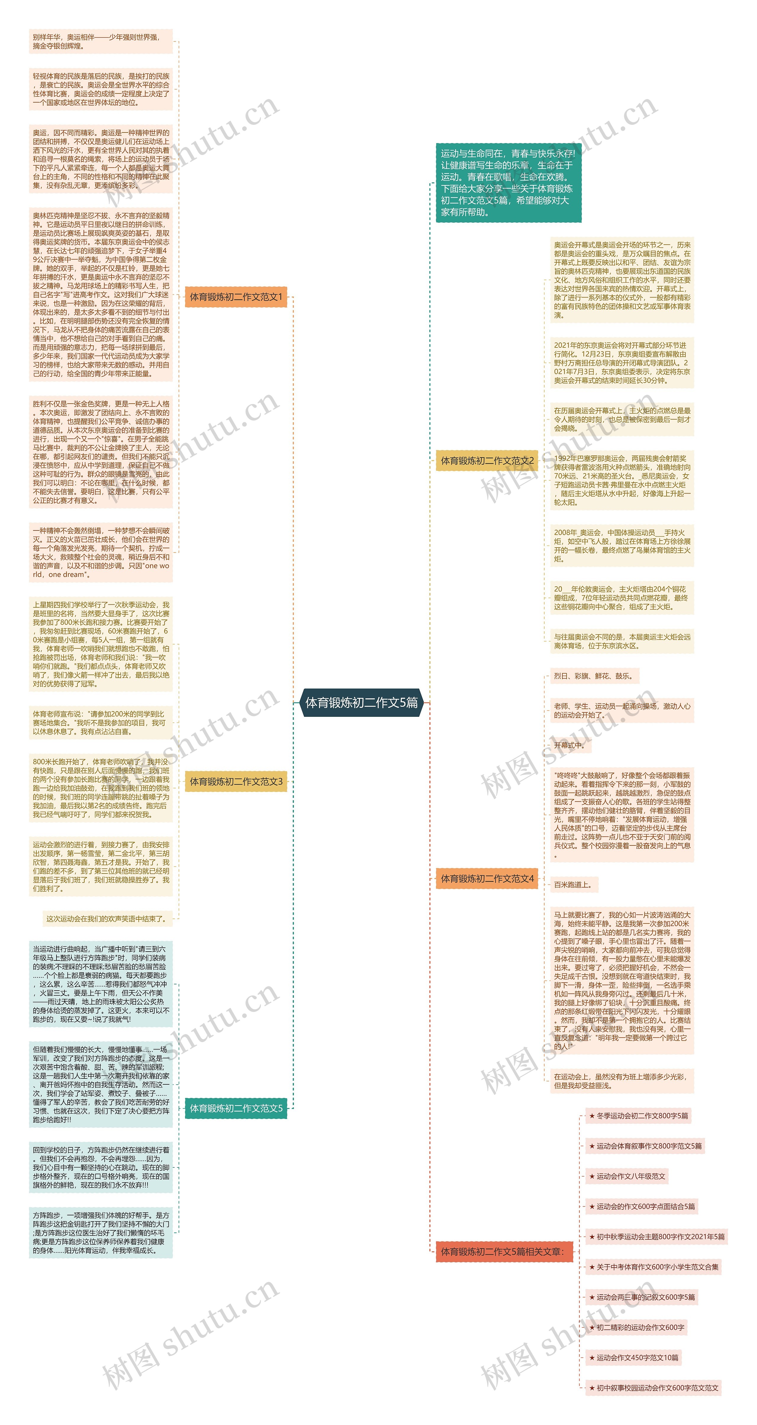 体育锻炼初二作文5篇思维导图