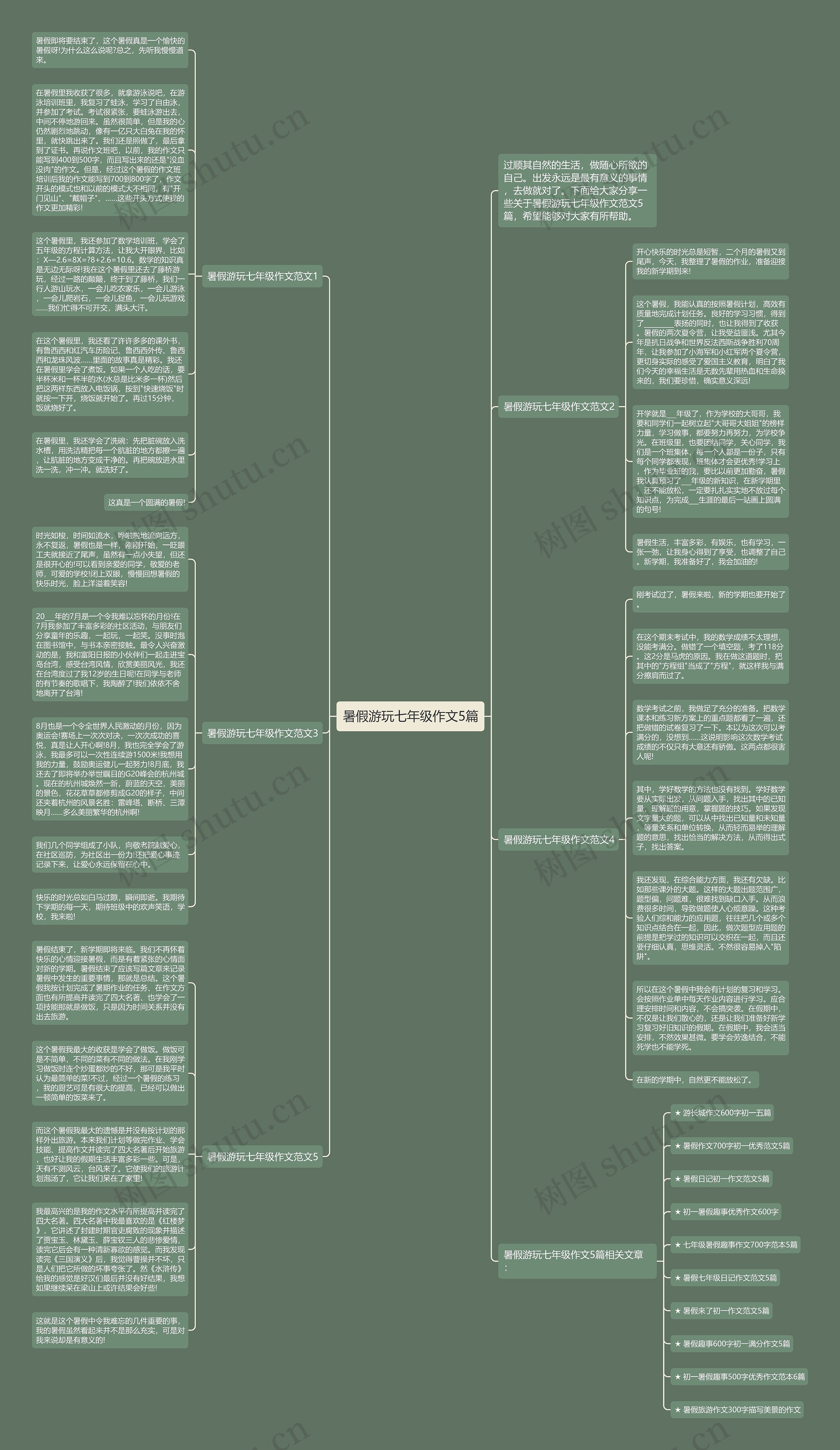 暑假游玩七年级作文5篇思维导图
