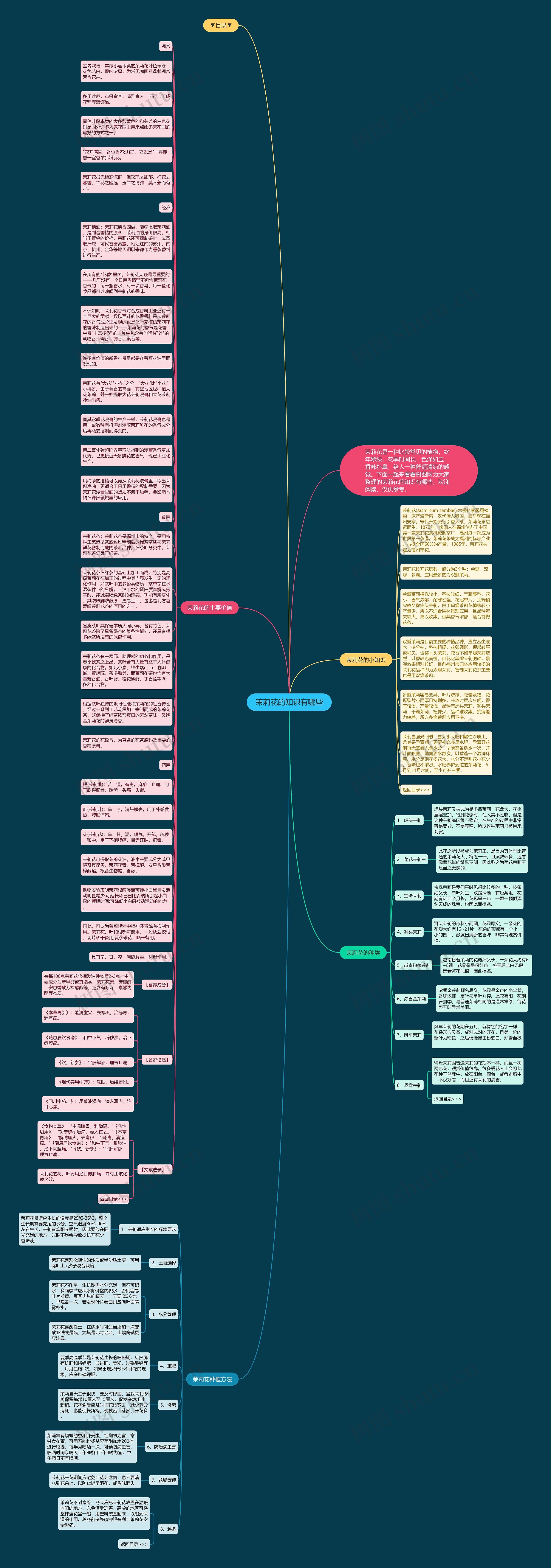 茉莉花的知识有哪些思维导图