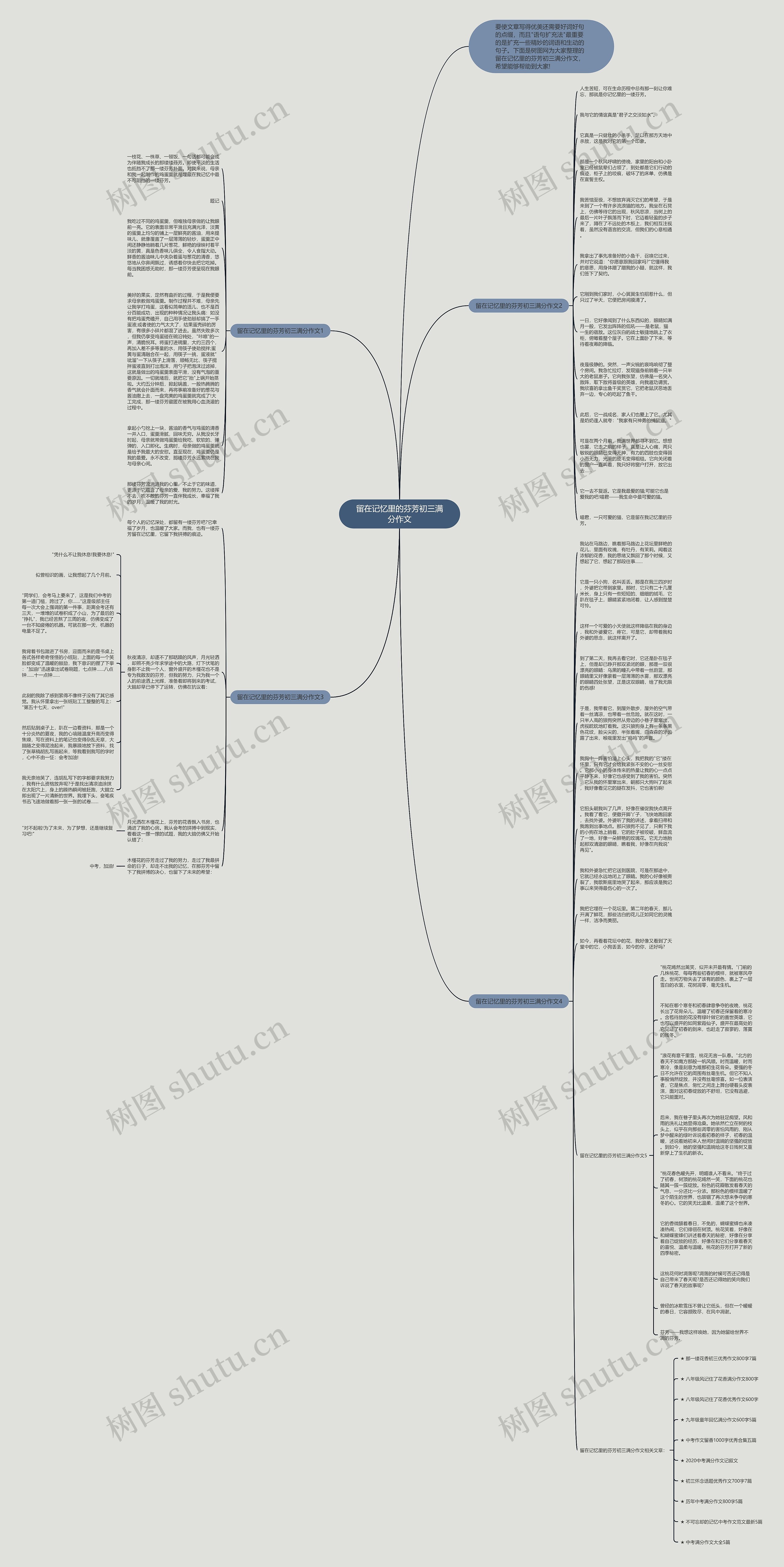 留在记忆里的芬芳初三满分作文思维导图