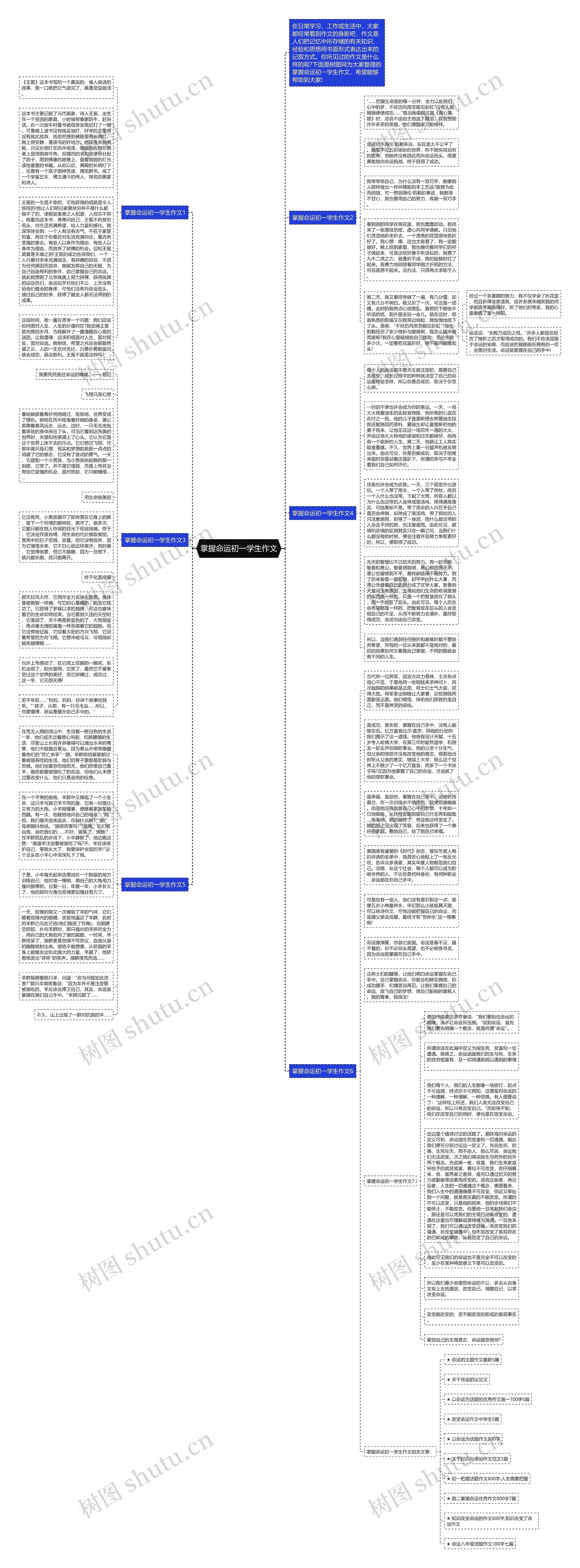 掌握命运初一学生作文思维导图