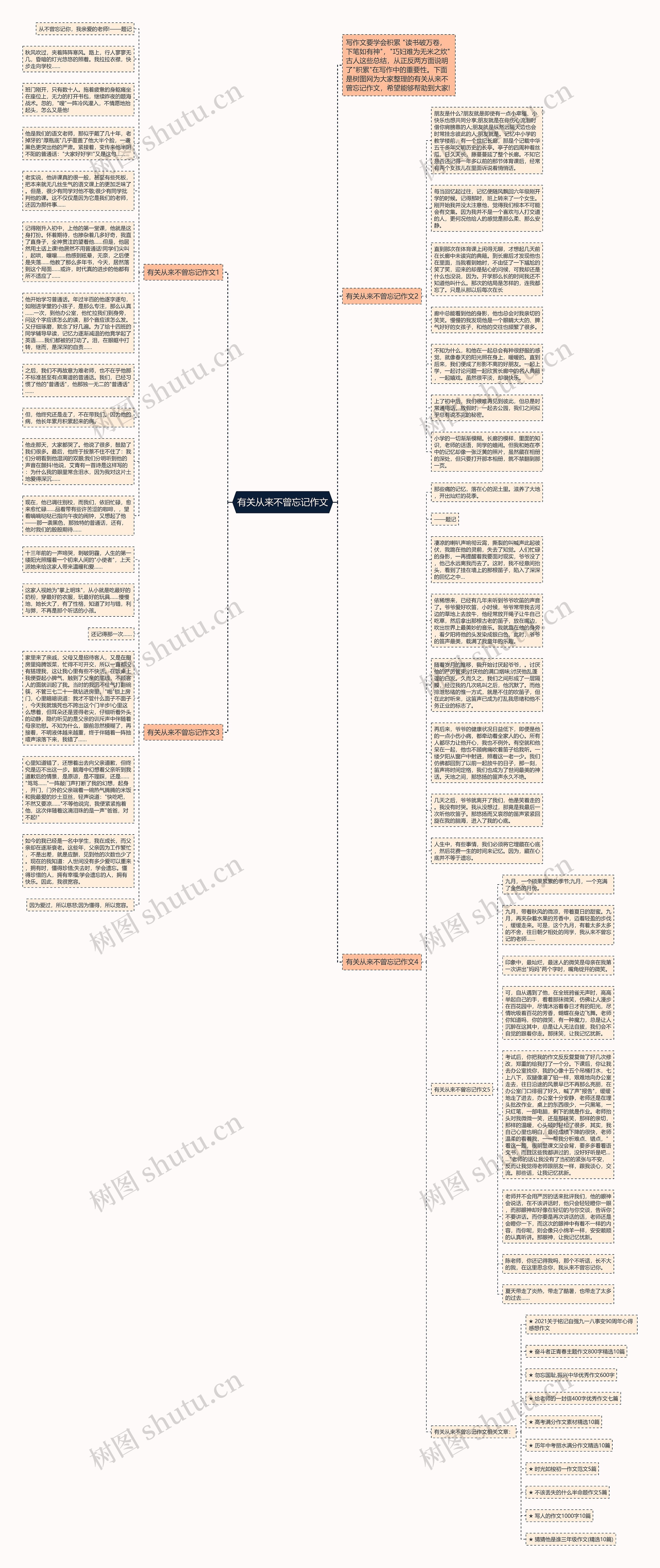 有关从来不曾忘记作文思维导图