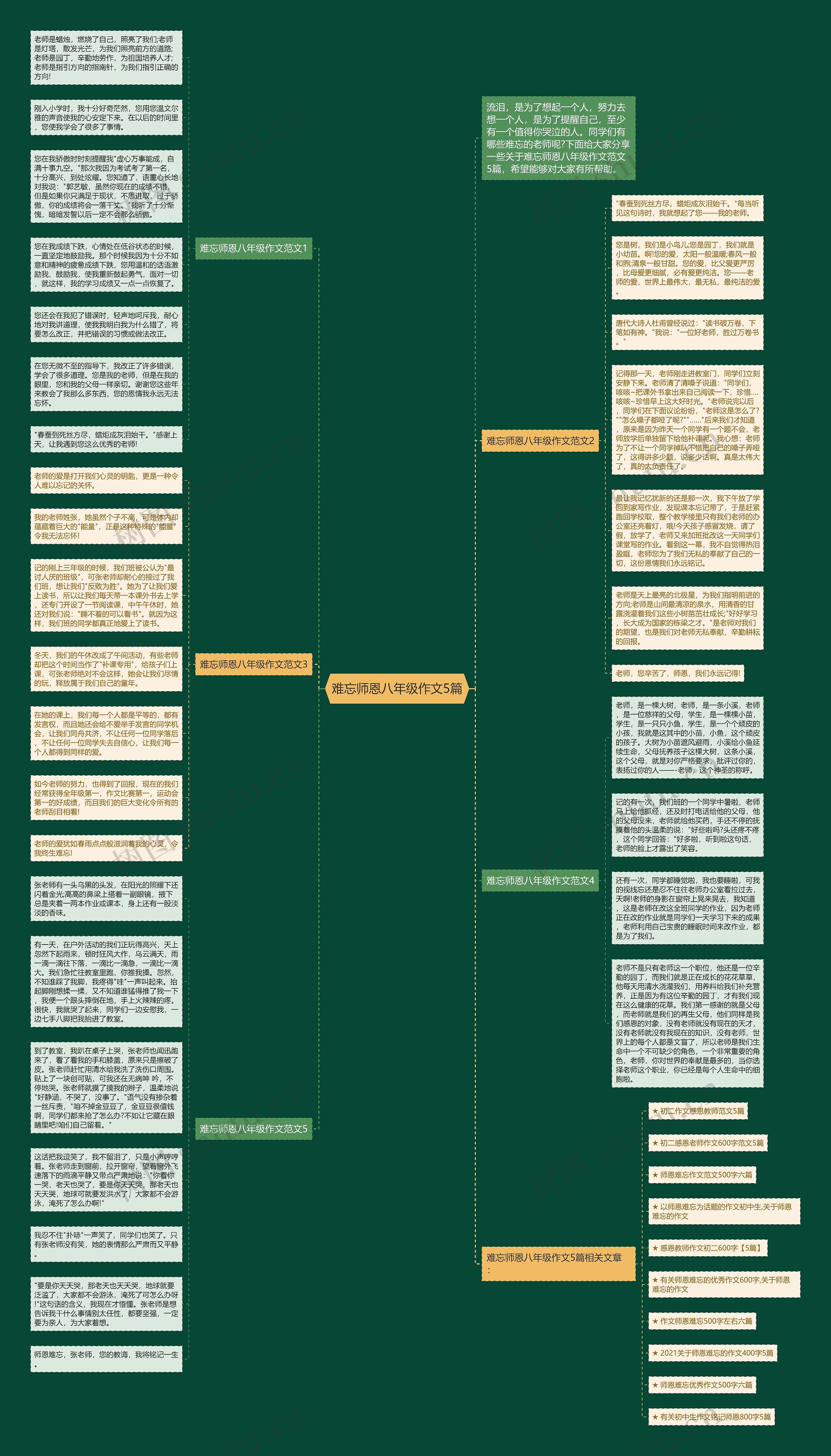 难忘师恩八年级作文5篇思维导图