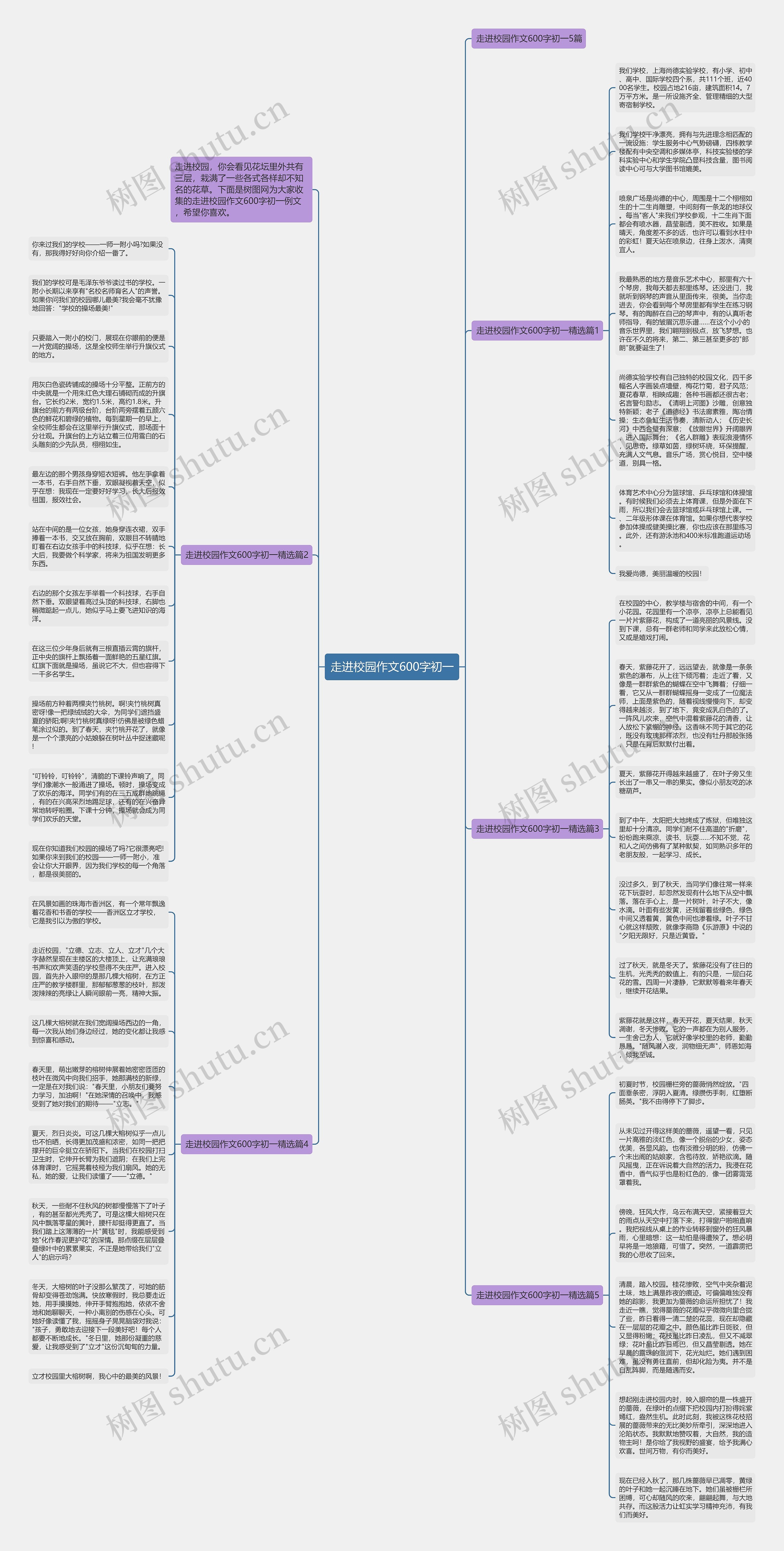 走进校园作文600字初一思维导图