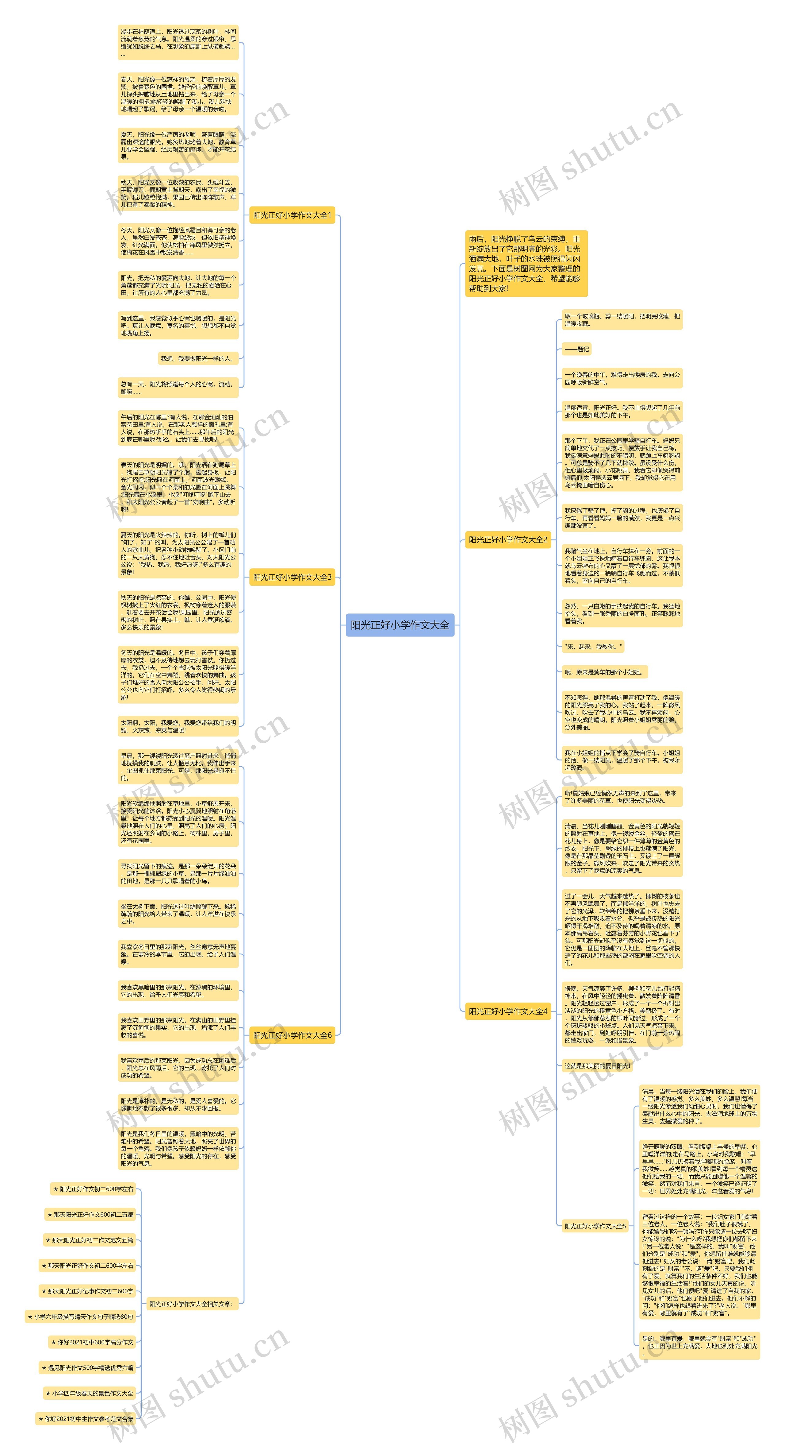 阳光正好小学作文大全思维导图