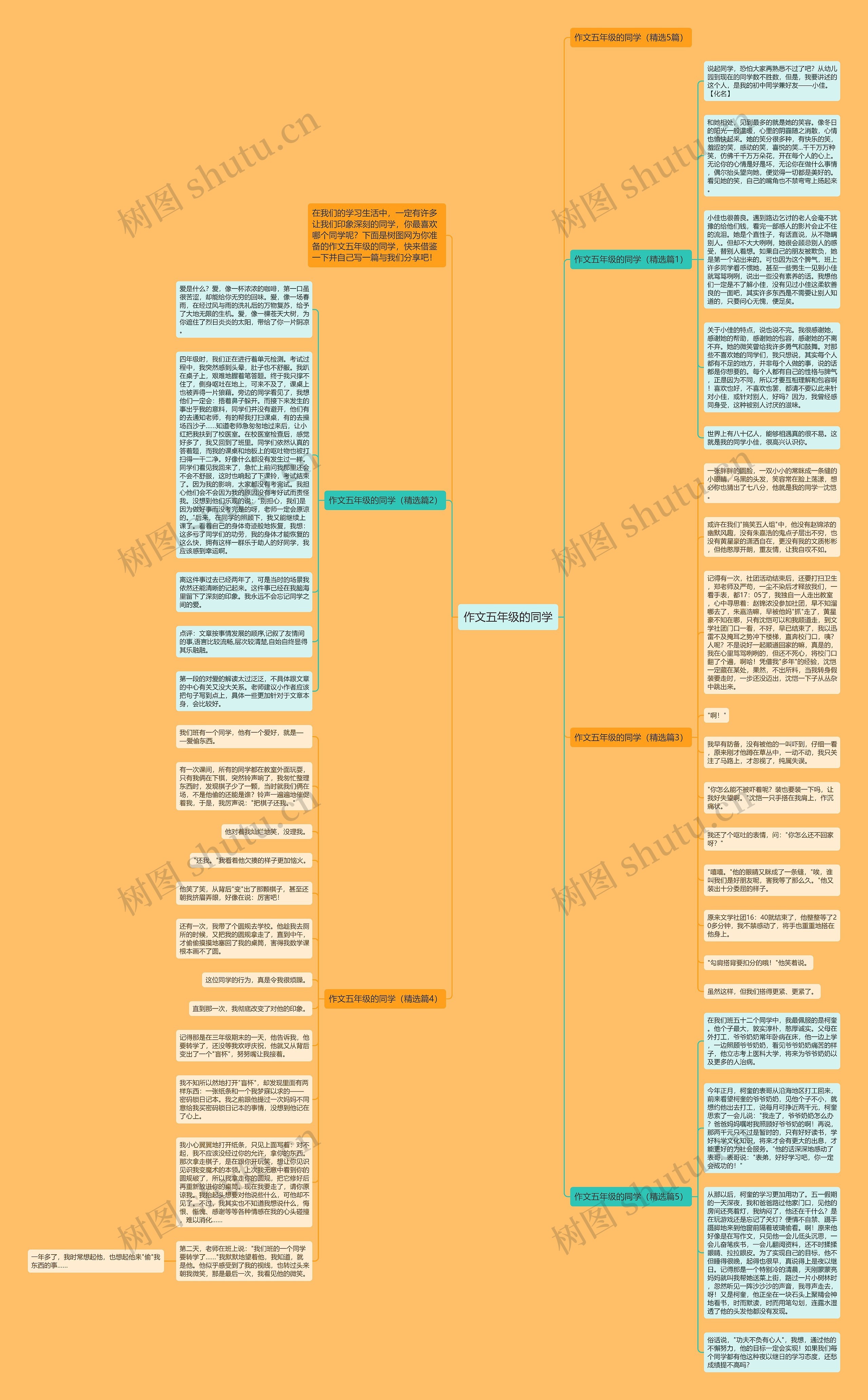 作文五年级的同学思维导图