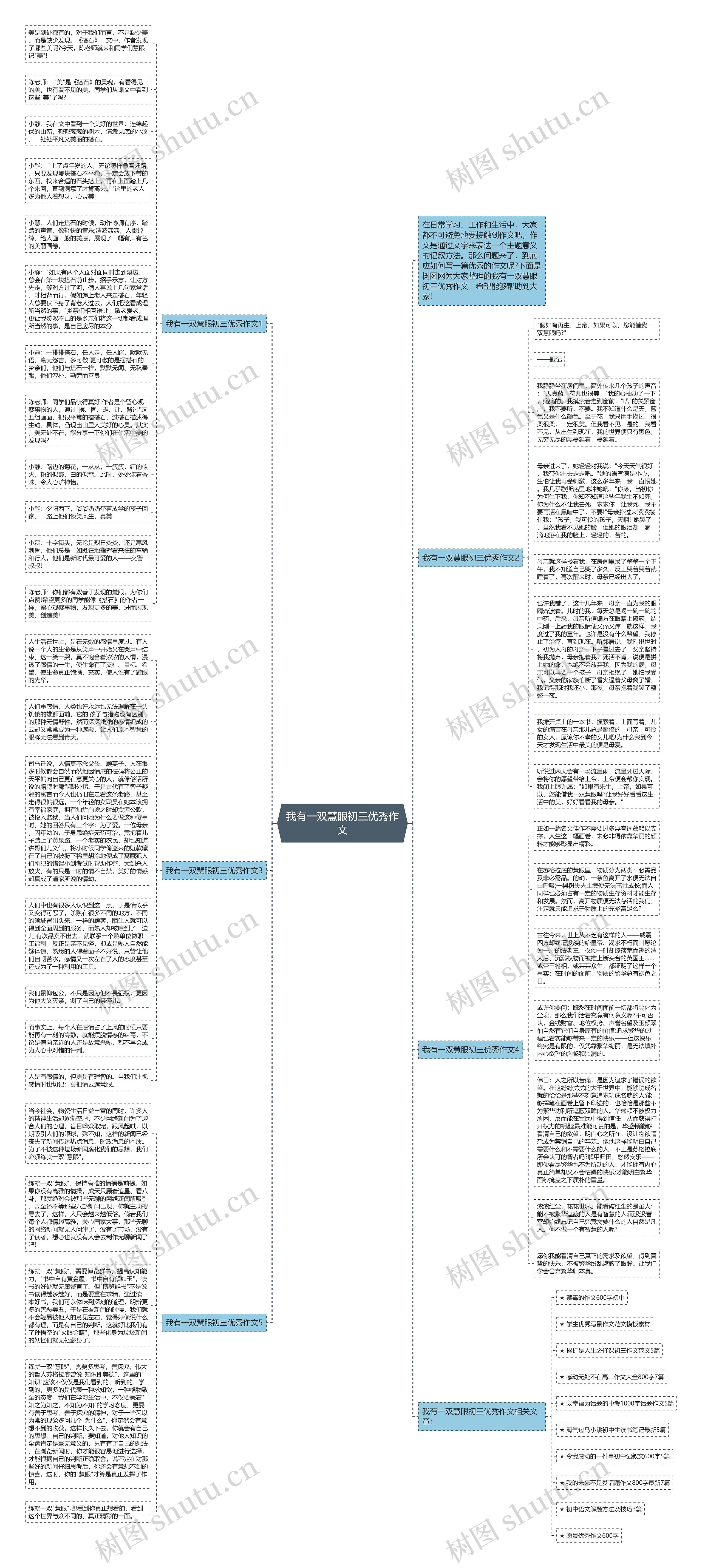 我有一双慧眼初三优秀作文思维导图