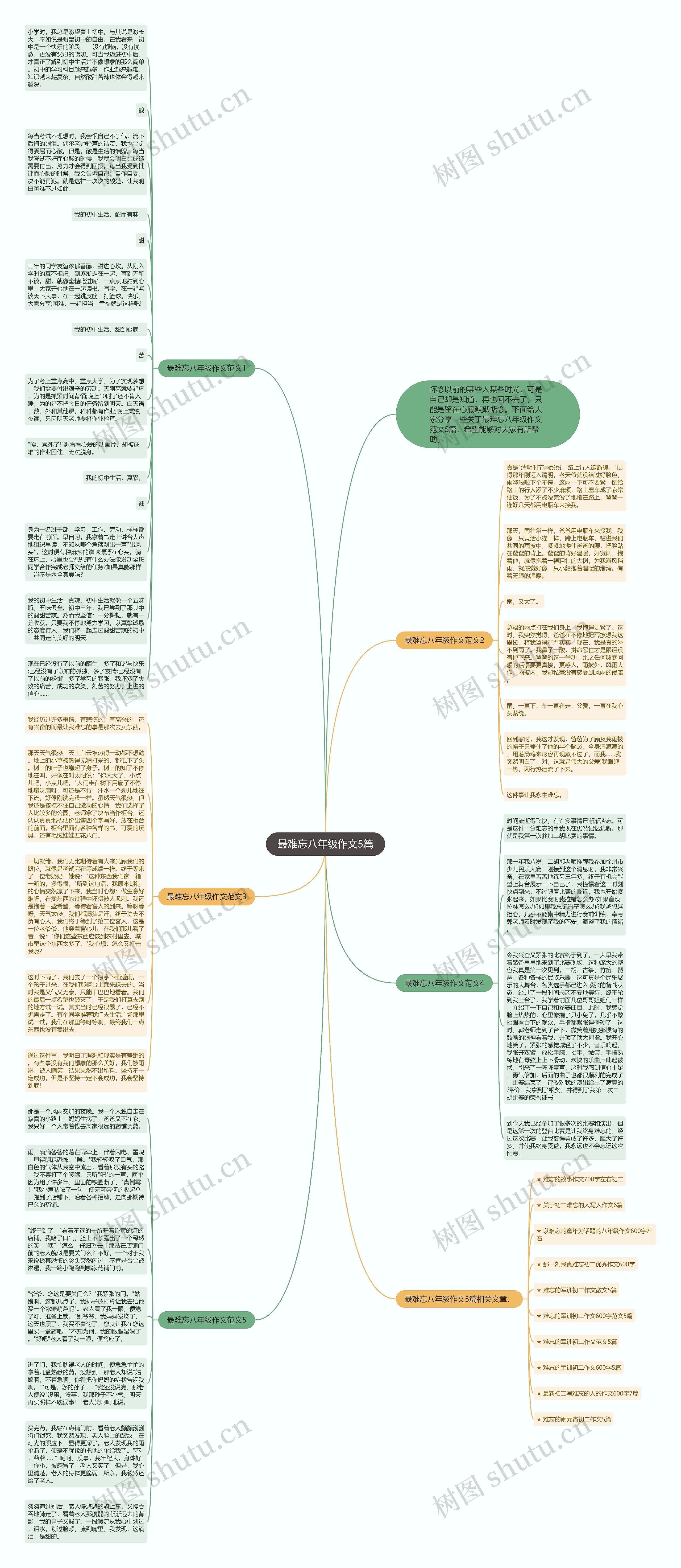 最难忘八年级作文5篇思维导图