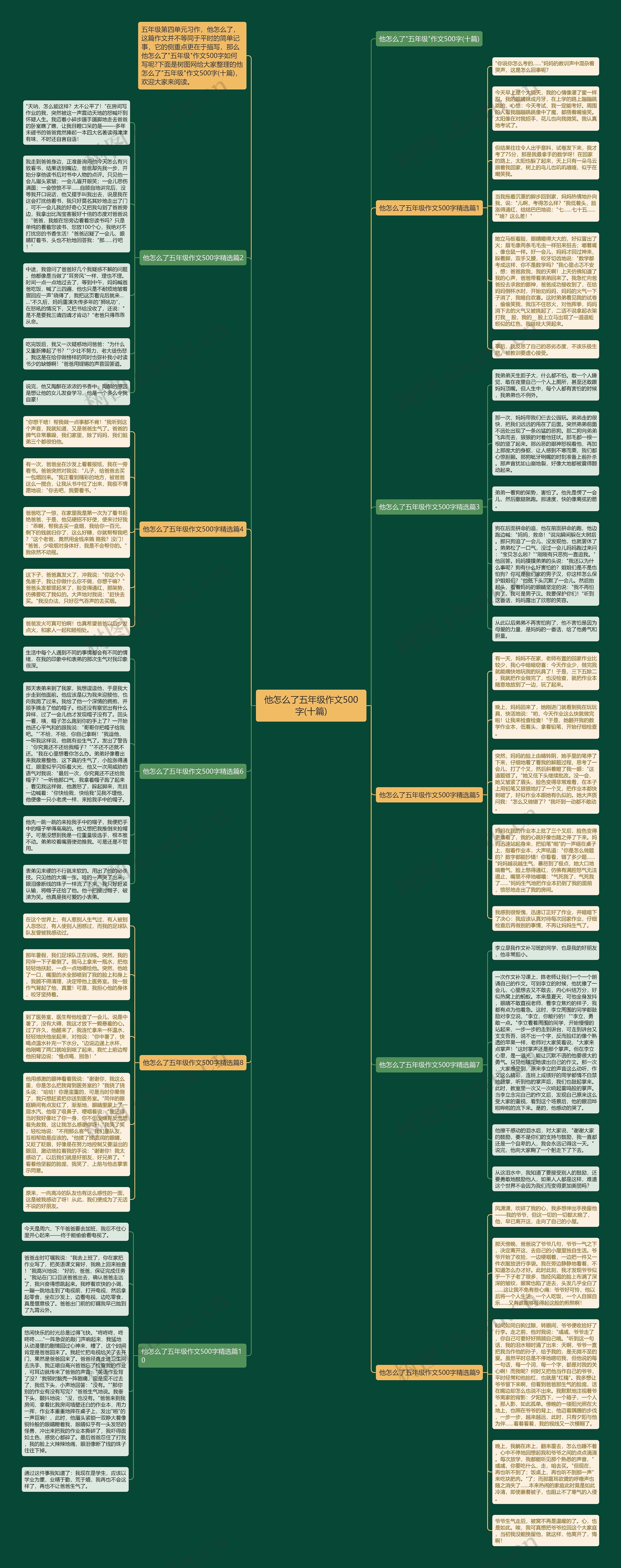 他怎么了五年级作文500字(十篇)思维导图
