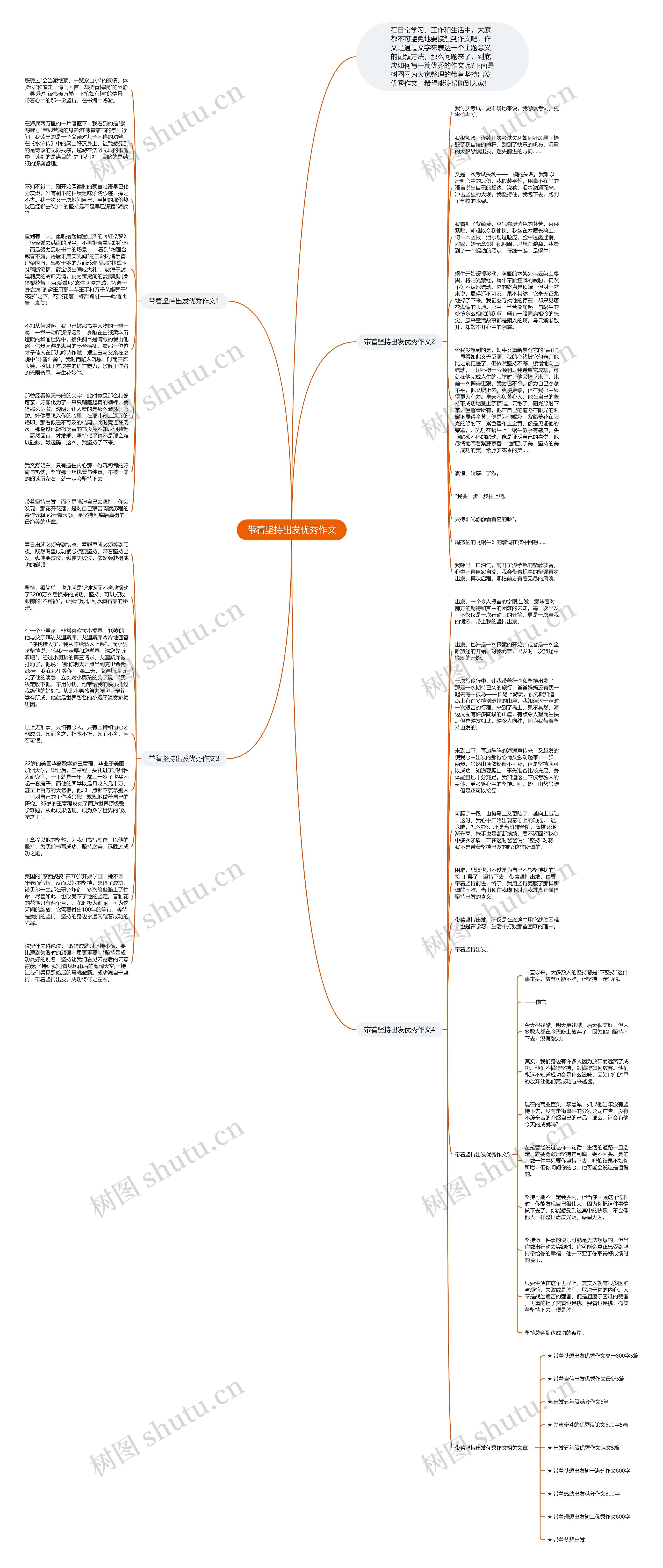 带着坚持出发优秀作文思维导图