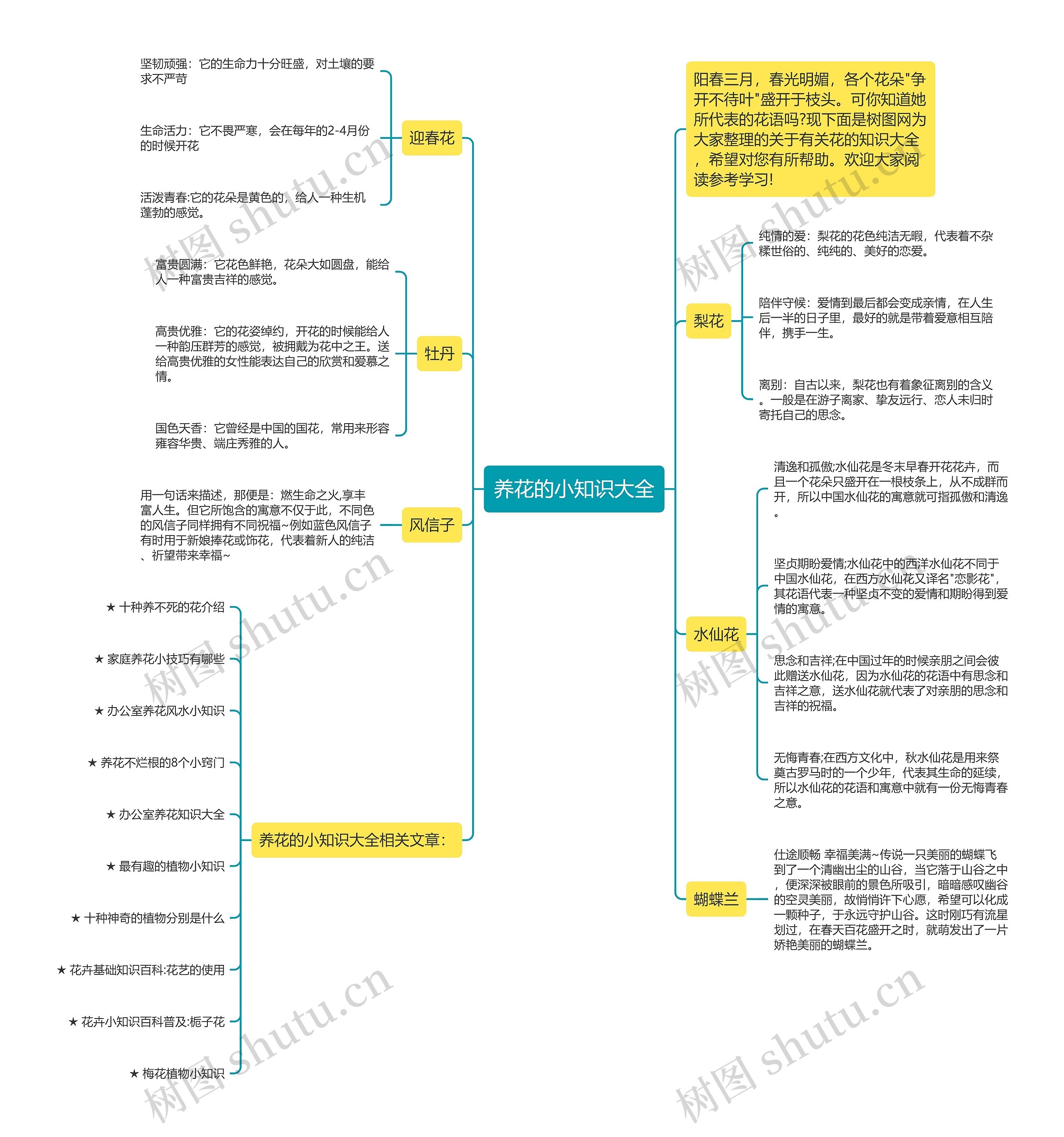 养花的小知识大全思维导图