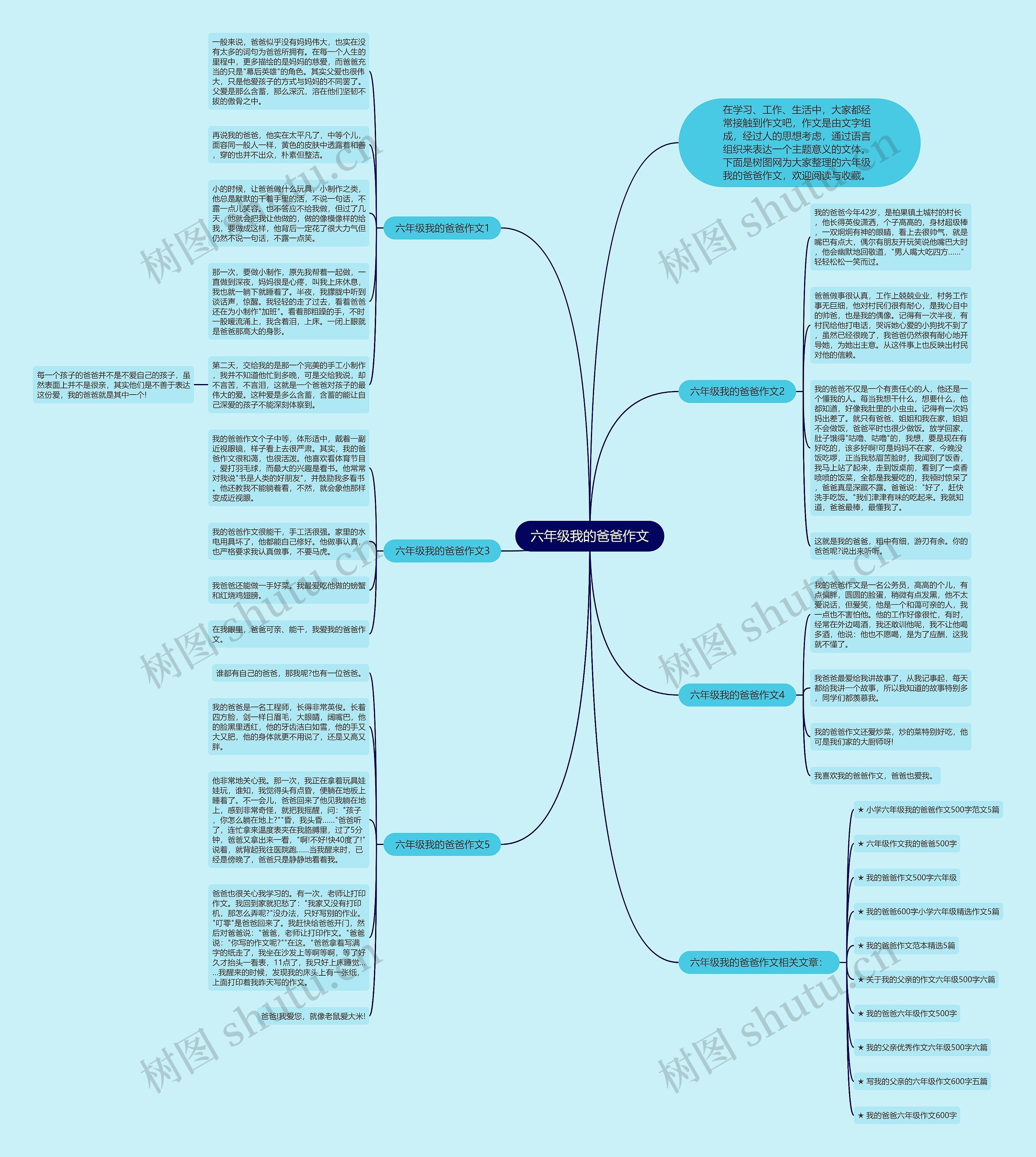 六年级我的爸爸作文思维导图
