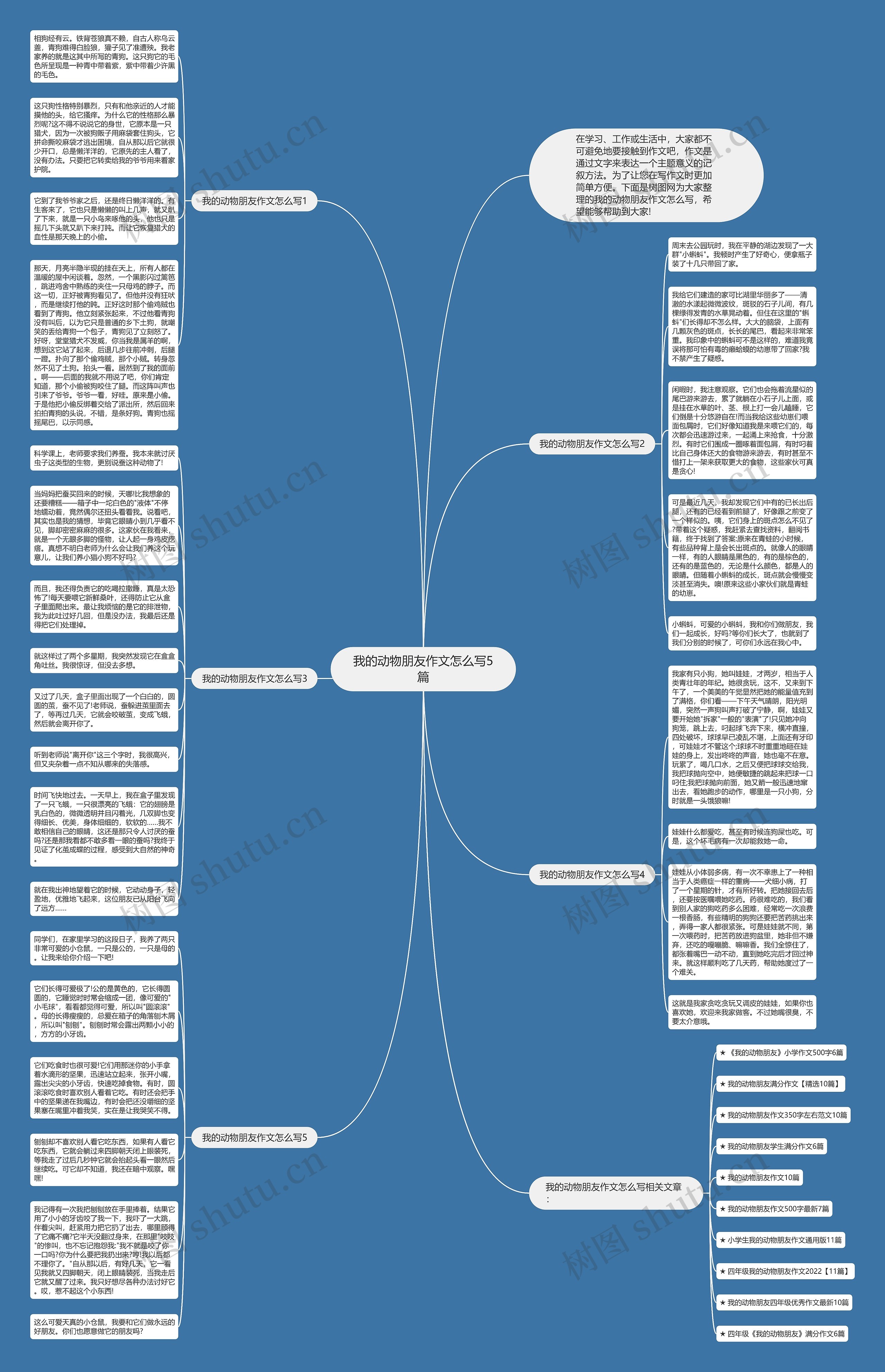 我的动物朋友作文怎么写5篇思维导图