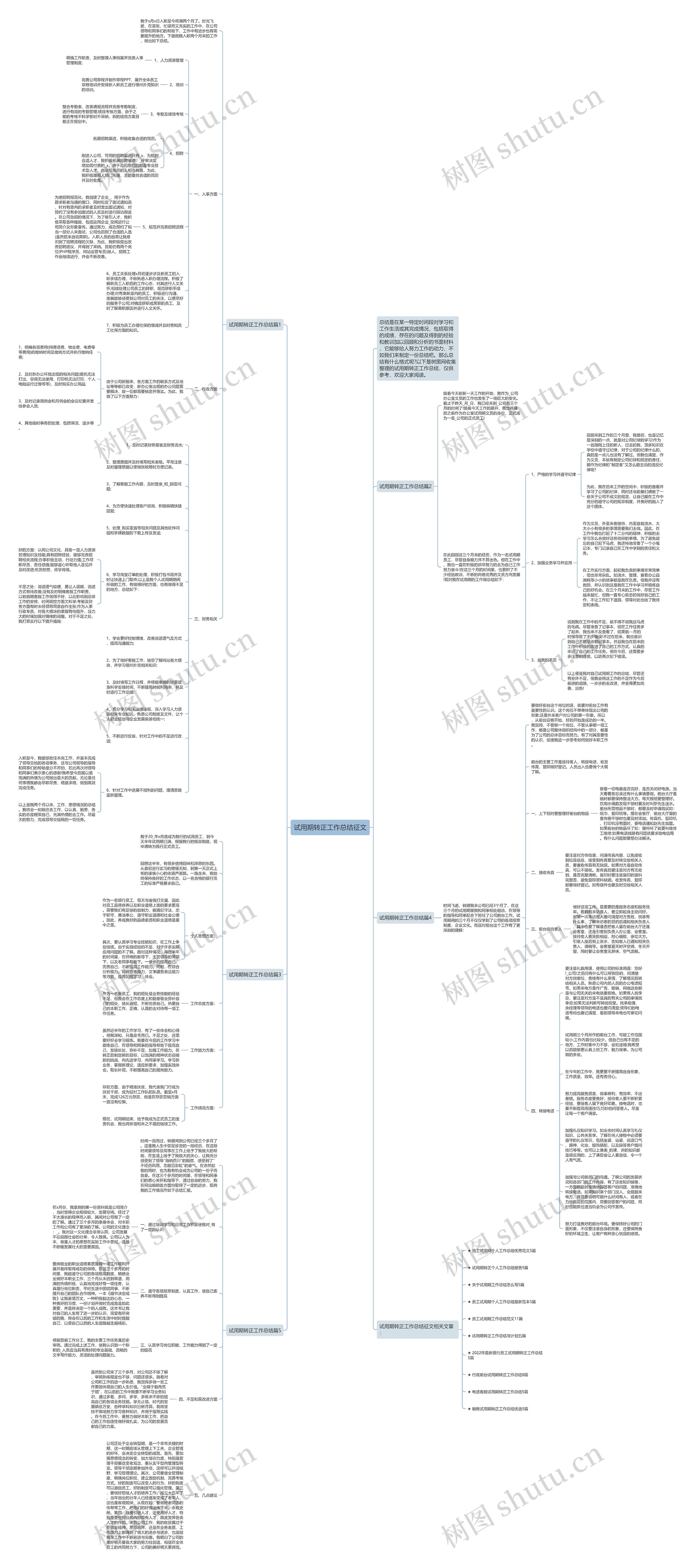 试用期转正工作总结征文思维导图
