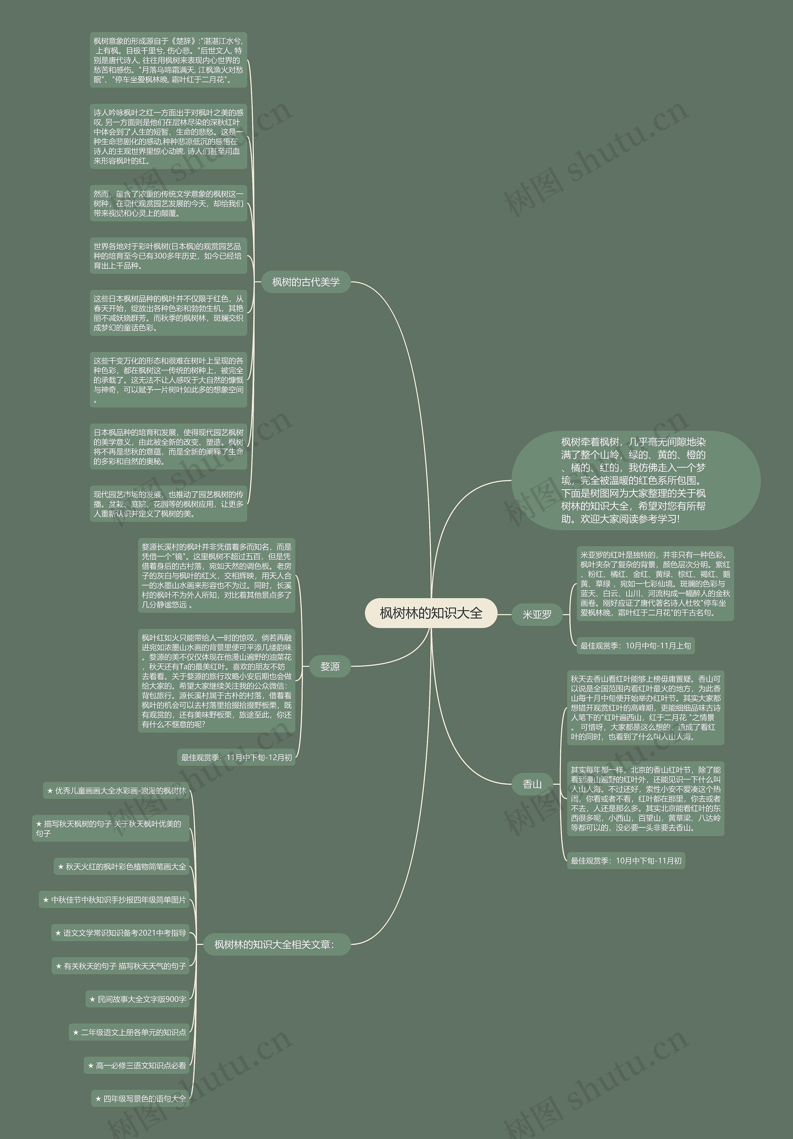 枫树林的知识大全思维导图