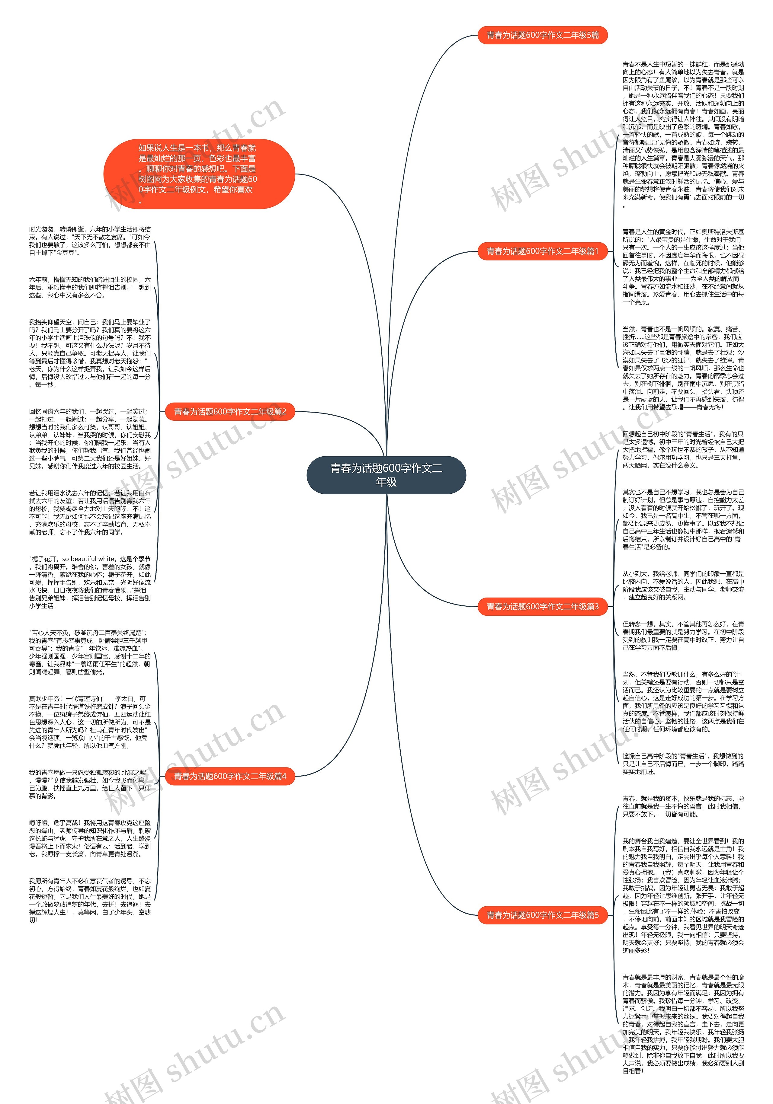 青春为话题600字作文二年级思维导图
