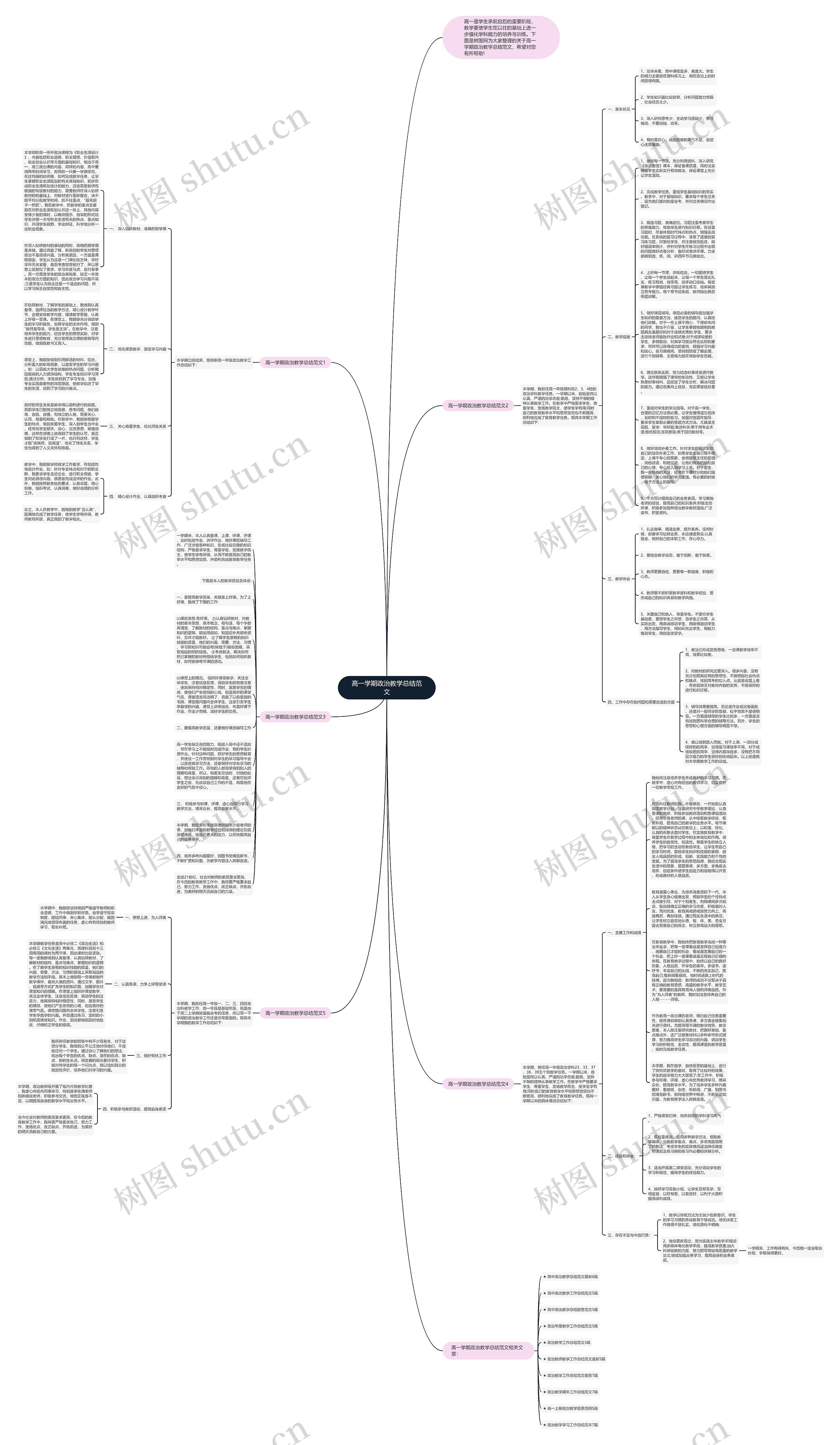 高一学期政治教学总结范文思维导图