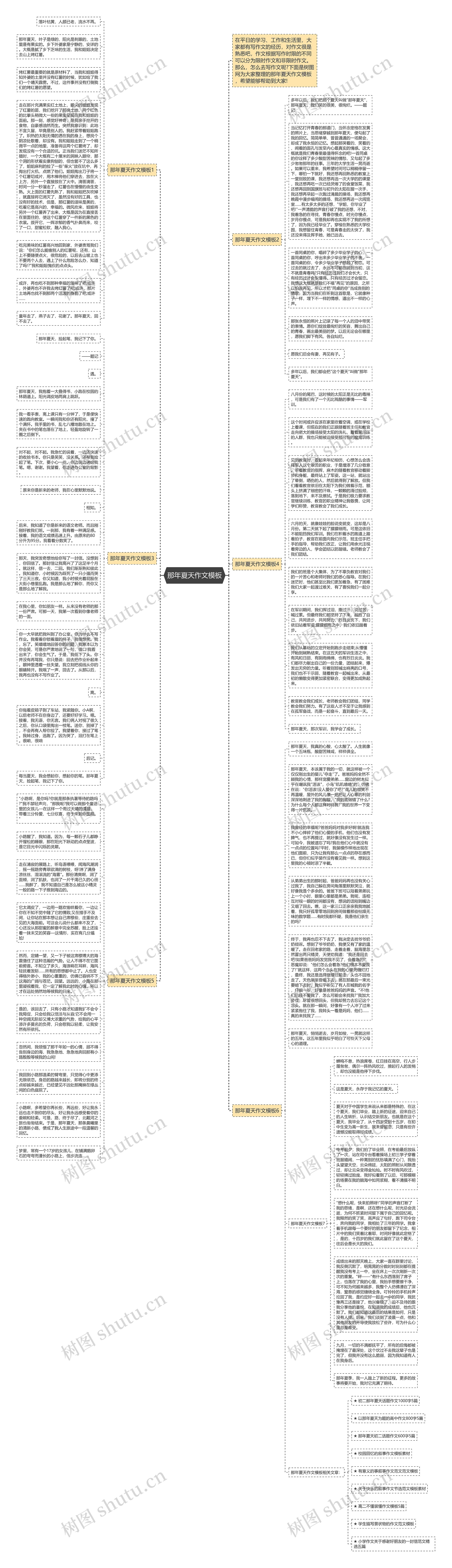 那年夏天作文思维导图