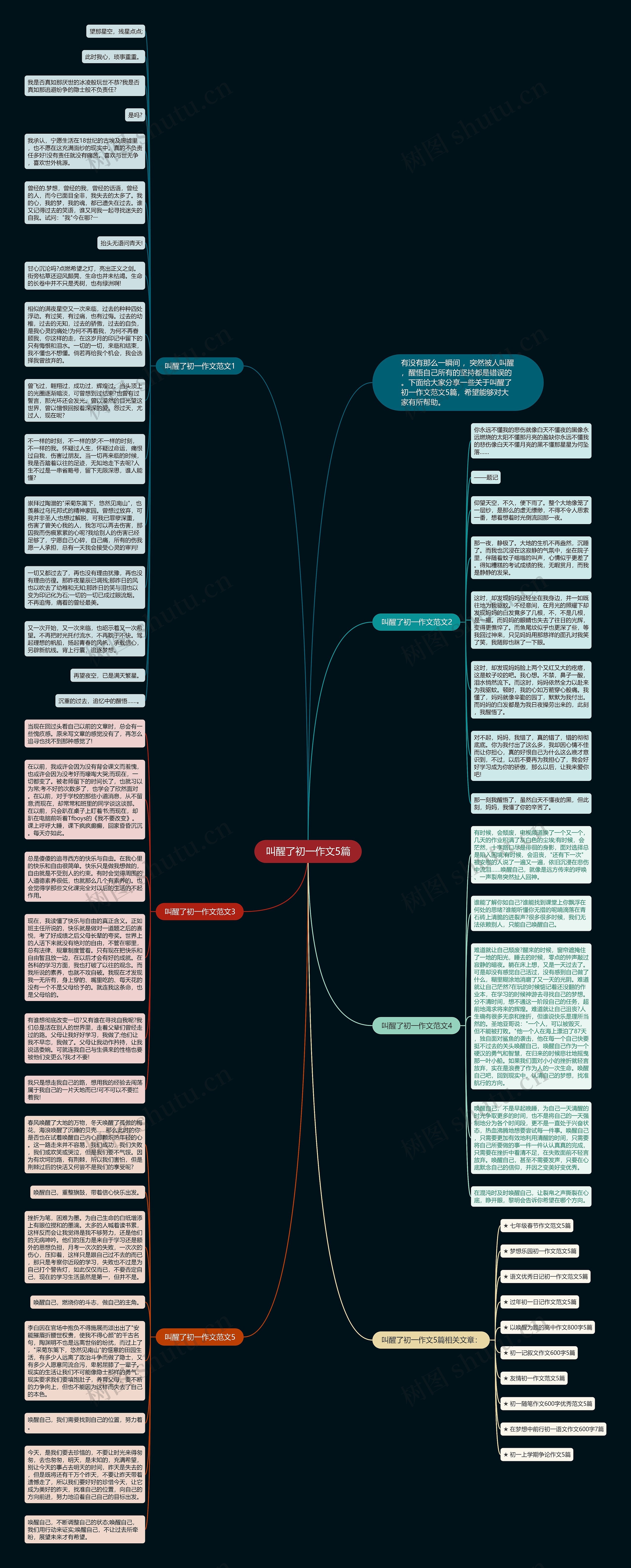 叫醒了初一作文5篇思维导图