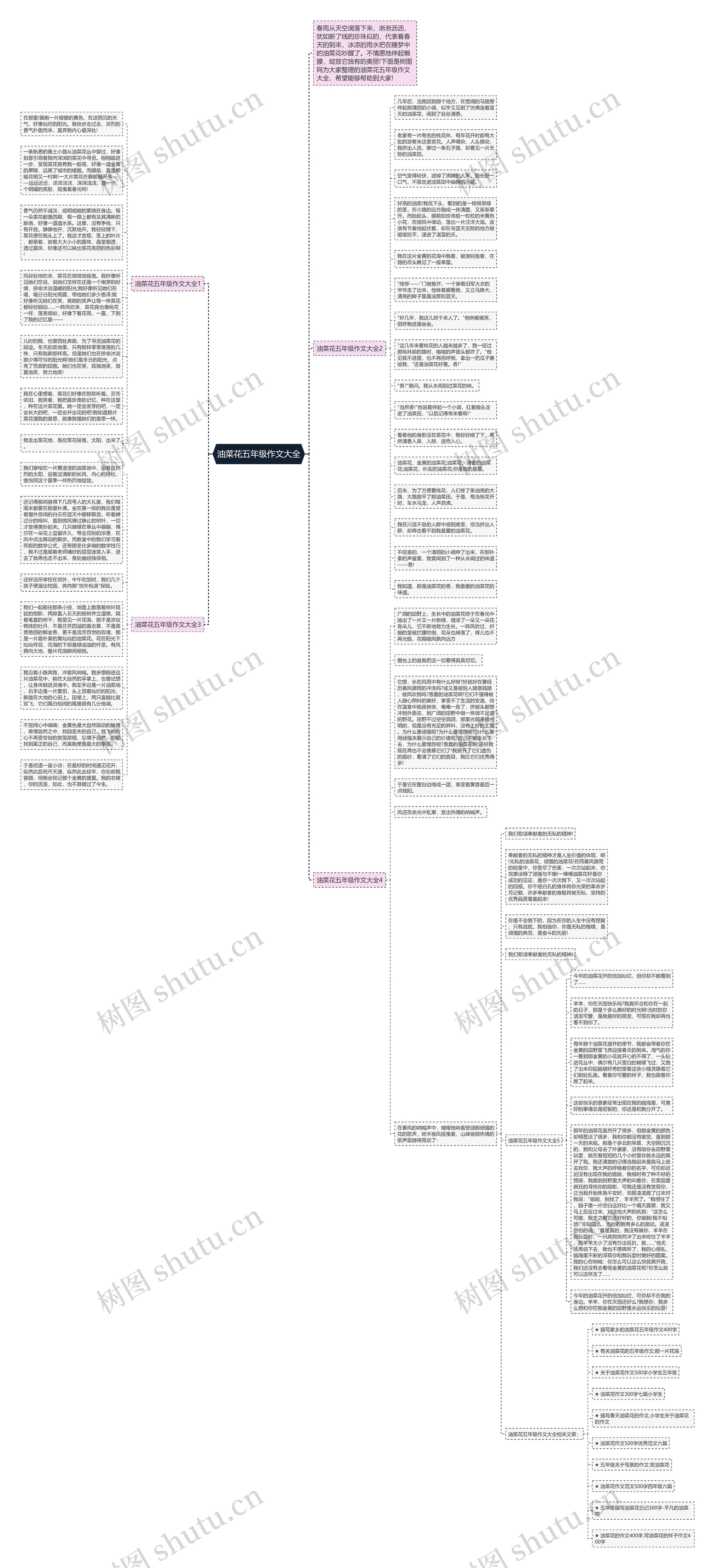 油菜花五年级作文大全思维导图
