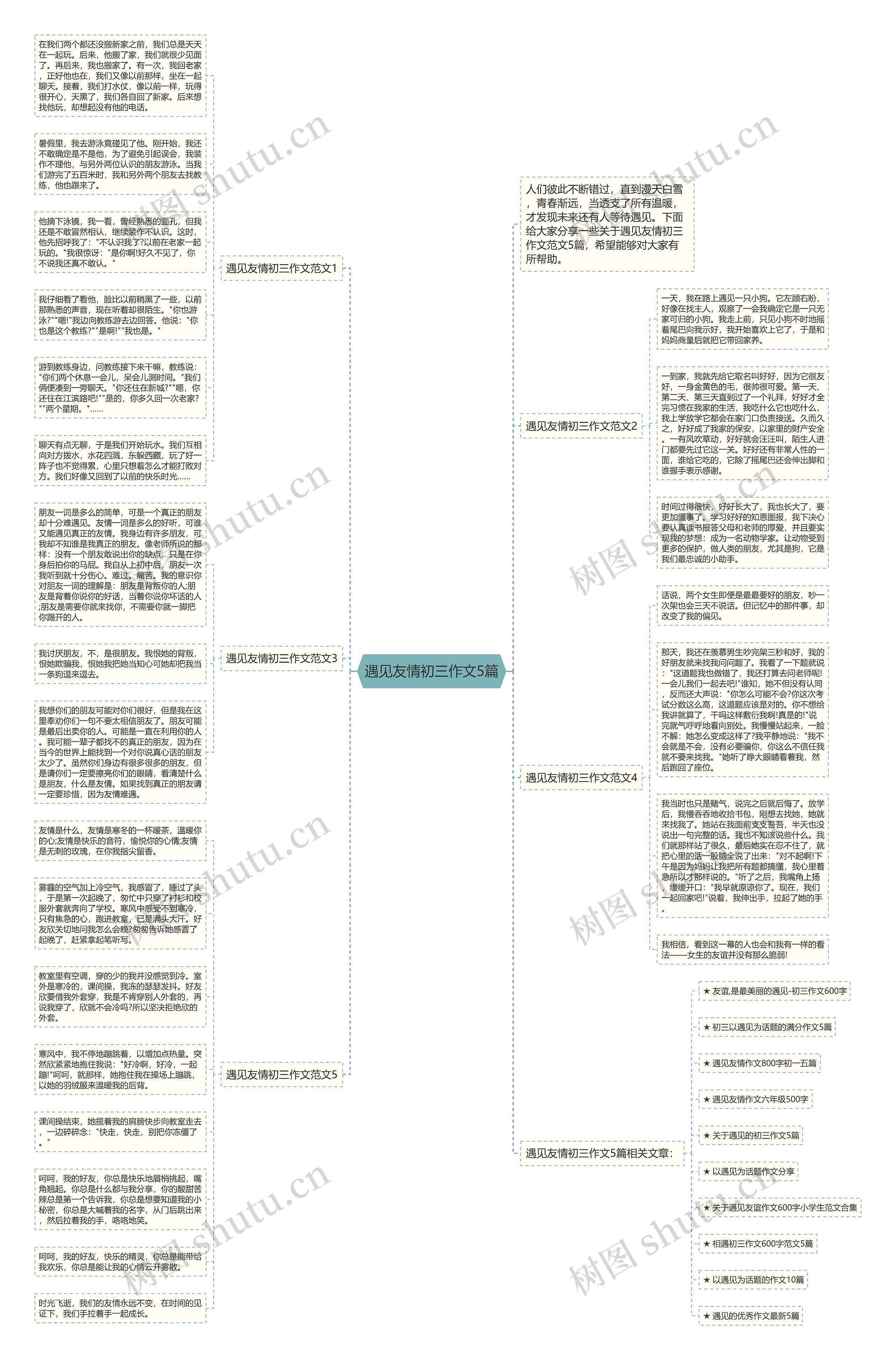 遇见友情初三作文5篇思维导图