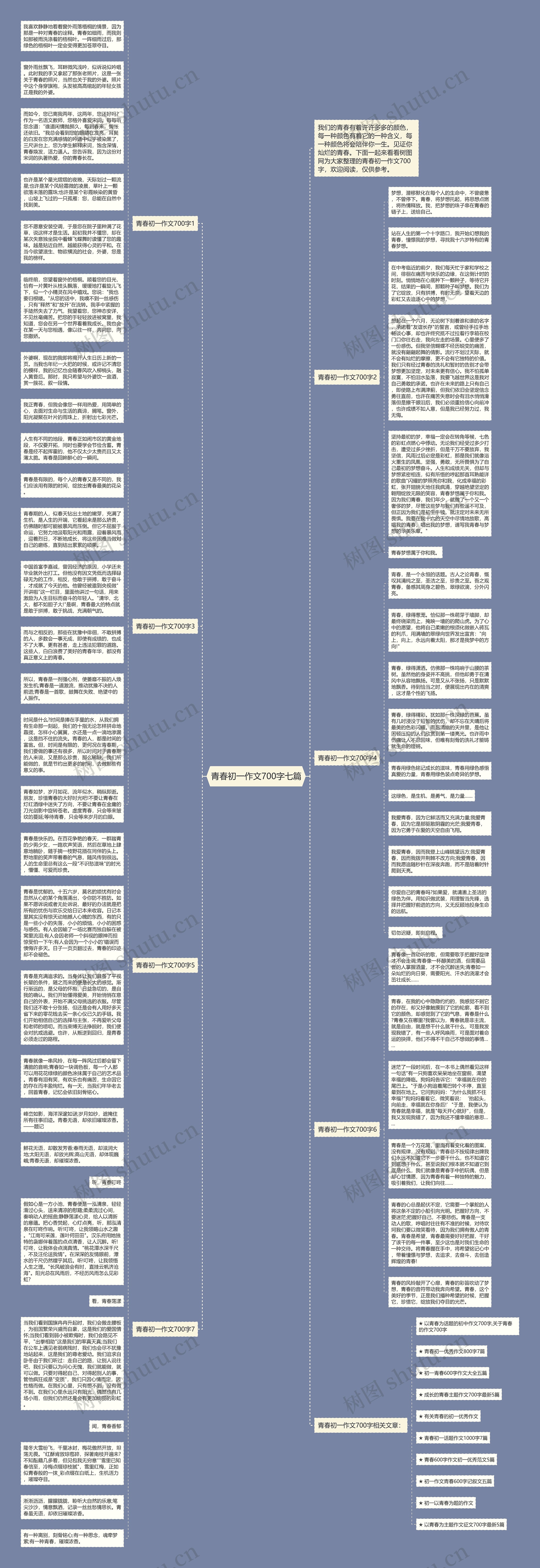 青春初一作文700字七篇思维导图