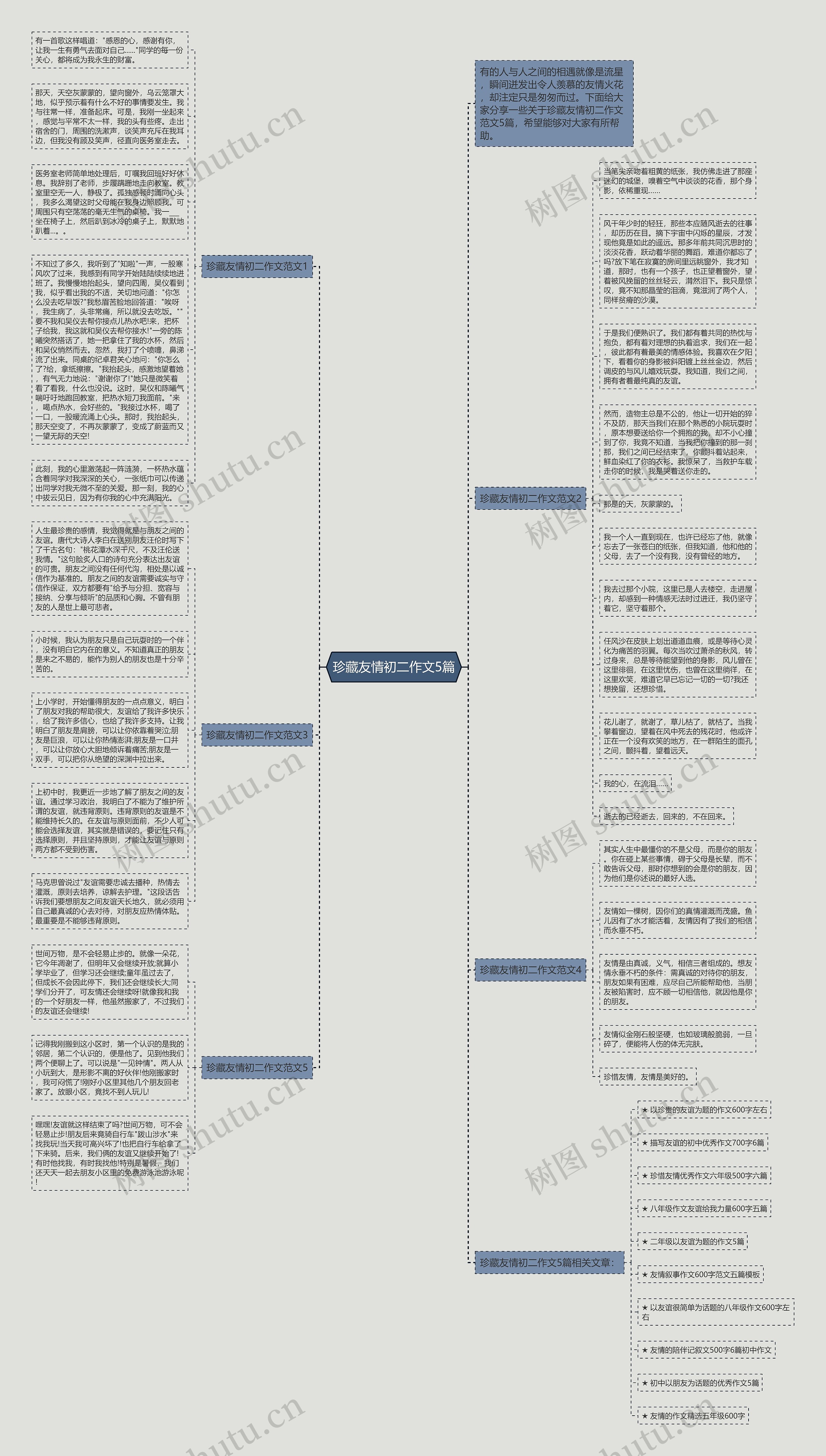 珍藏友情初二作文5篇思维导图