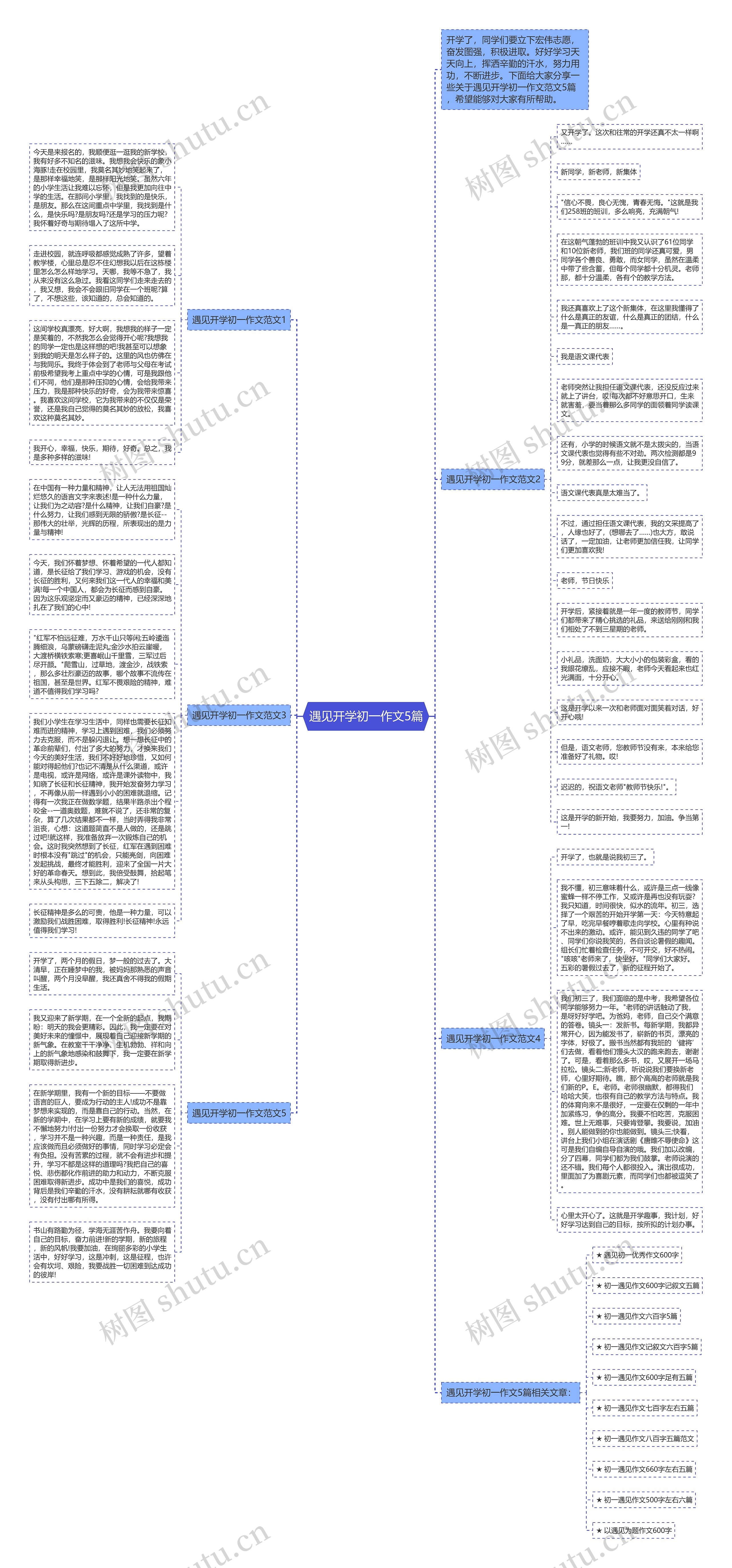 遇见开学初一作文5篇思维导图