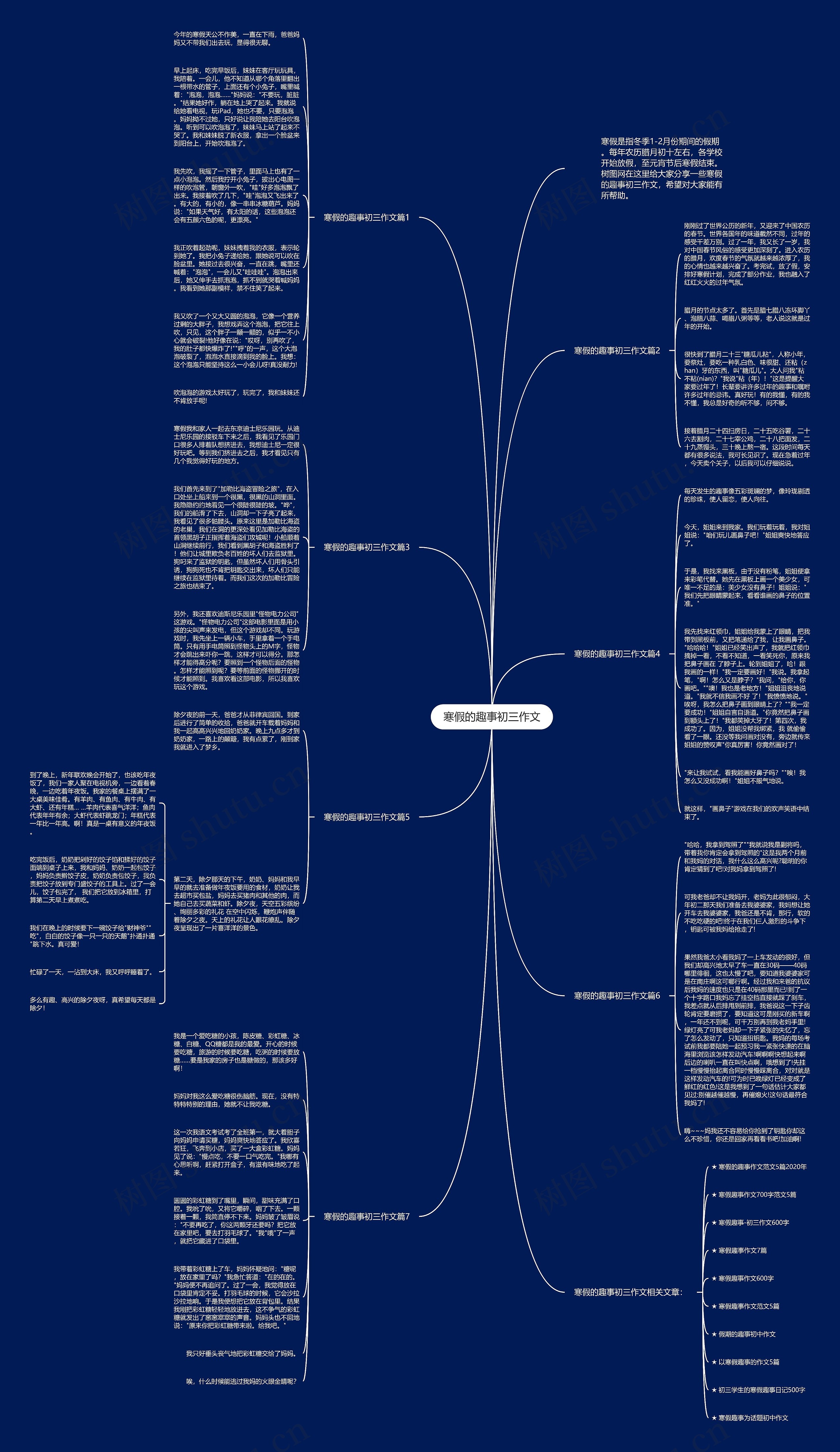 寒假的趣事初三作文思维导图