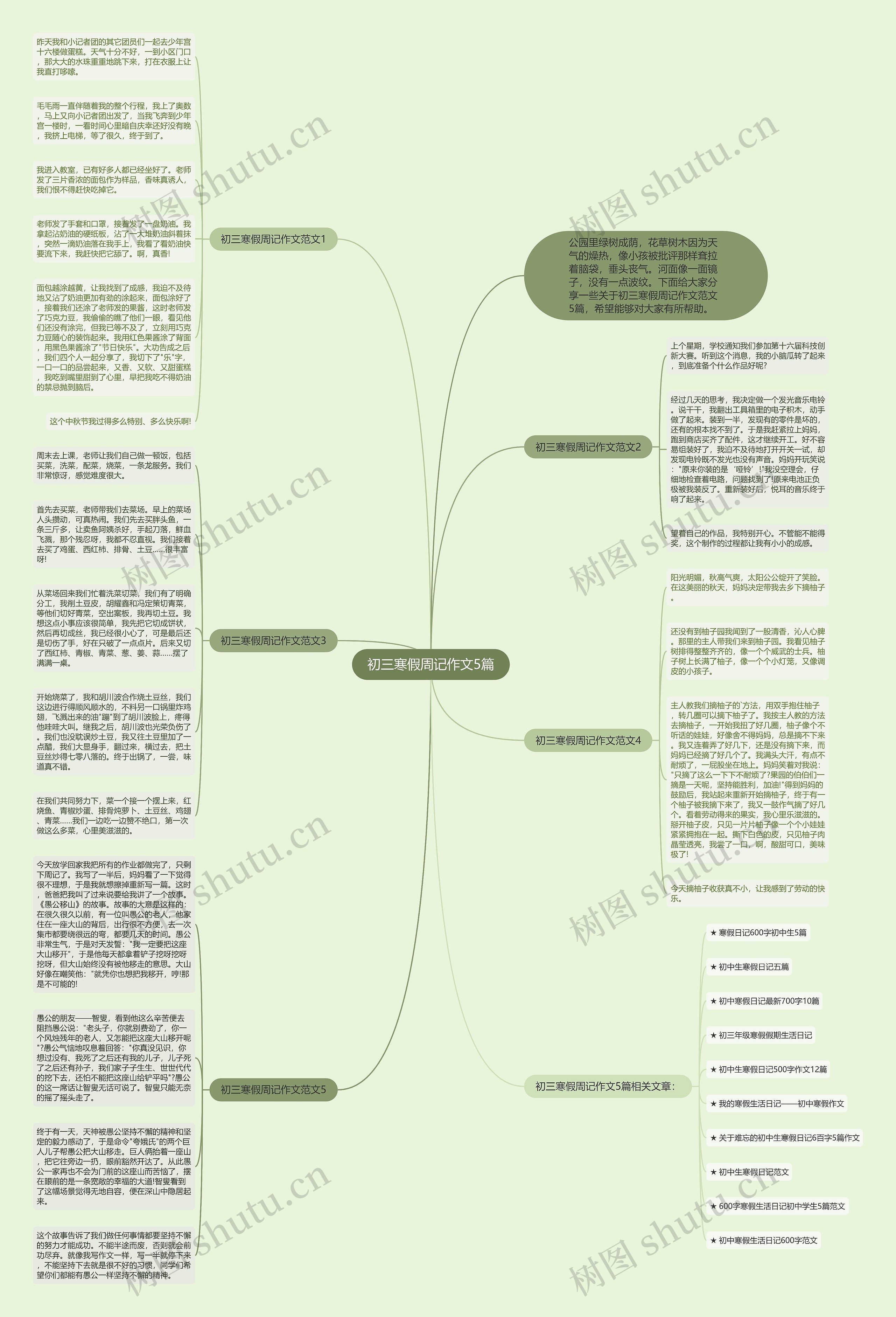 初三寒假周记作文5篇思维导图