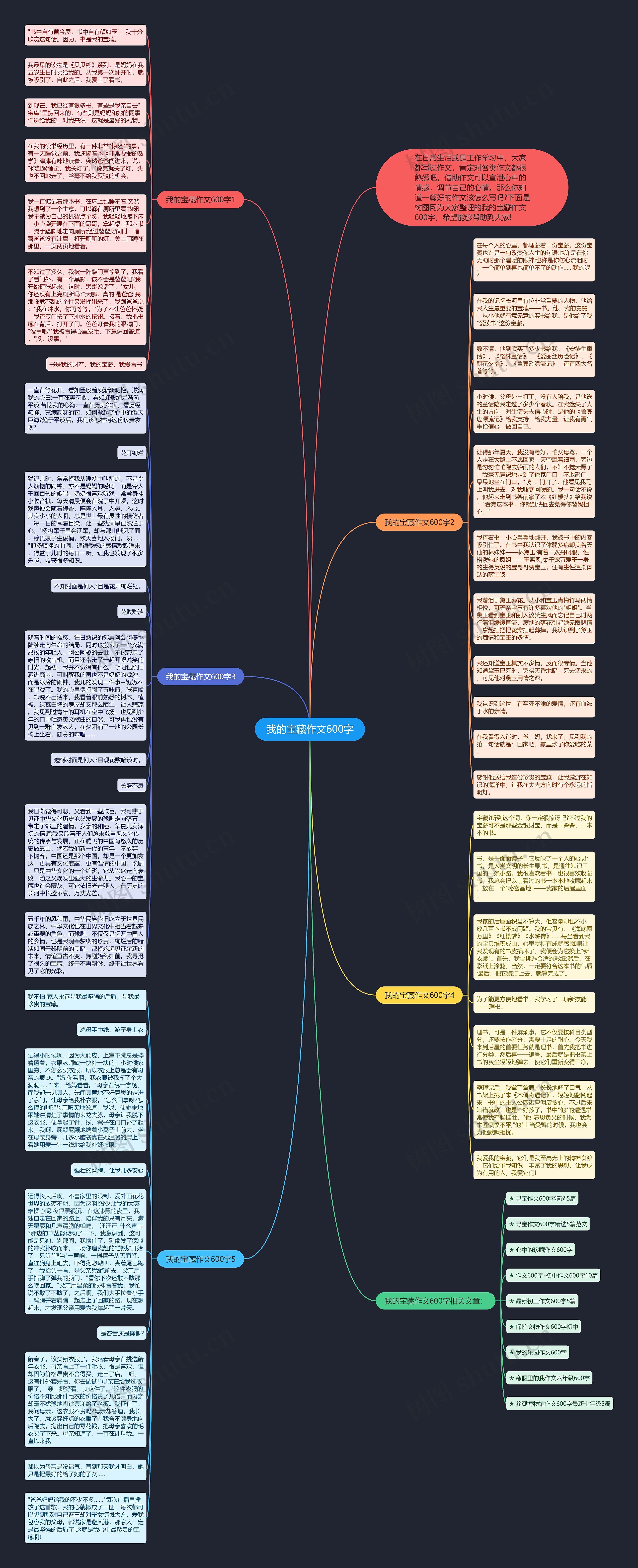 我的宝藏作文600字思维导图
