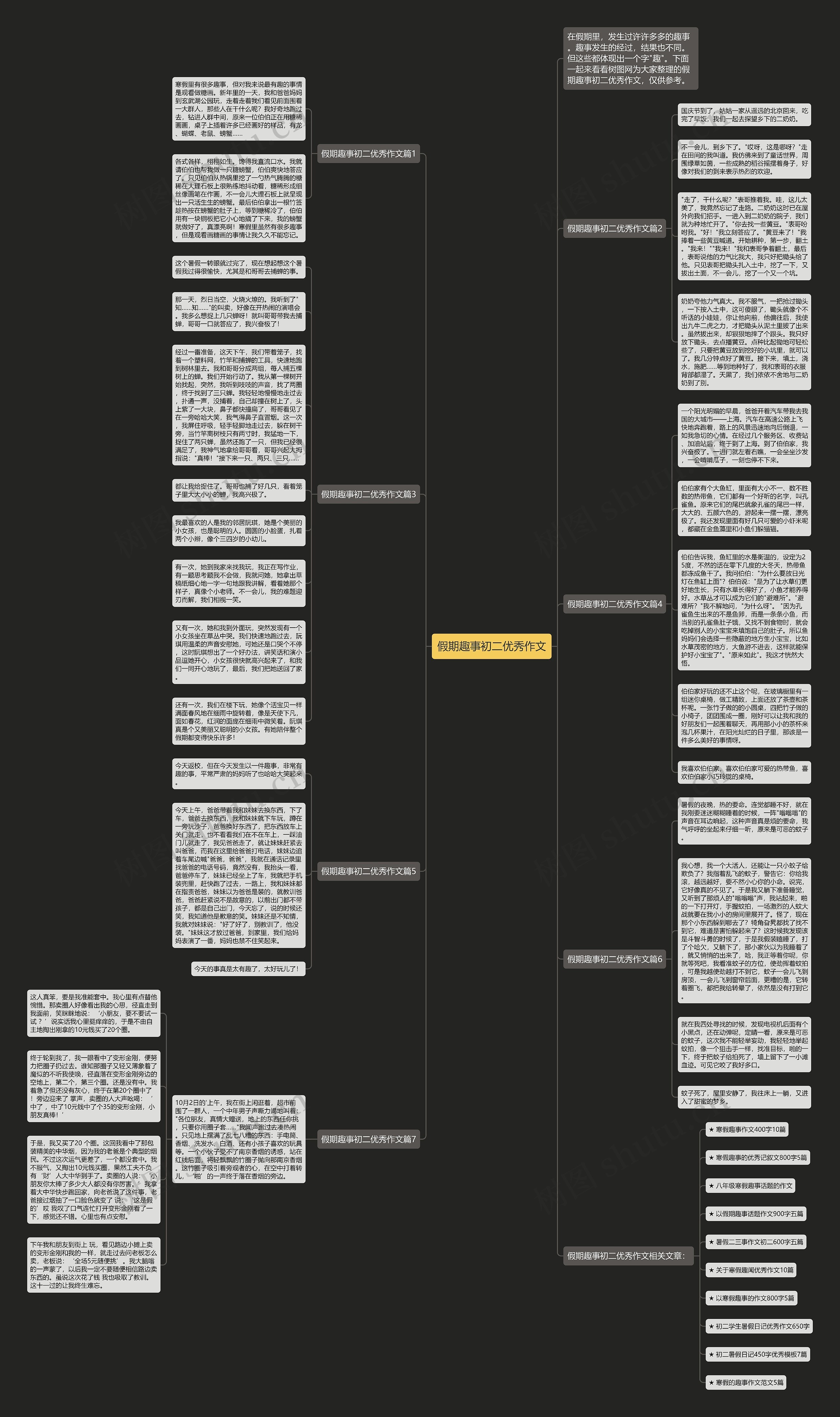 假期趣事初二优秀作文思维导图