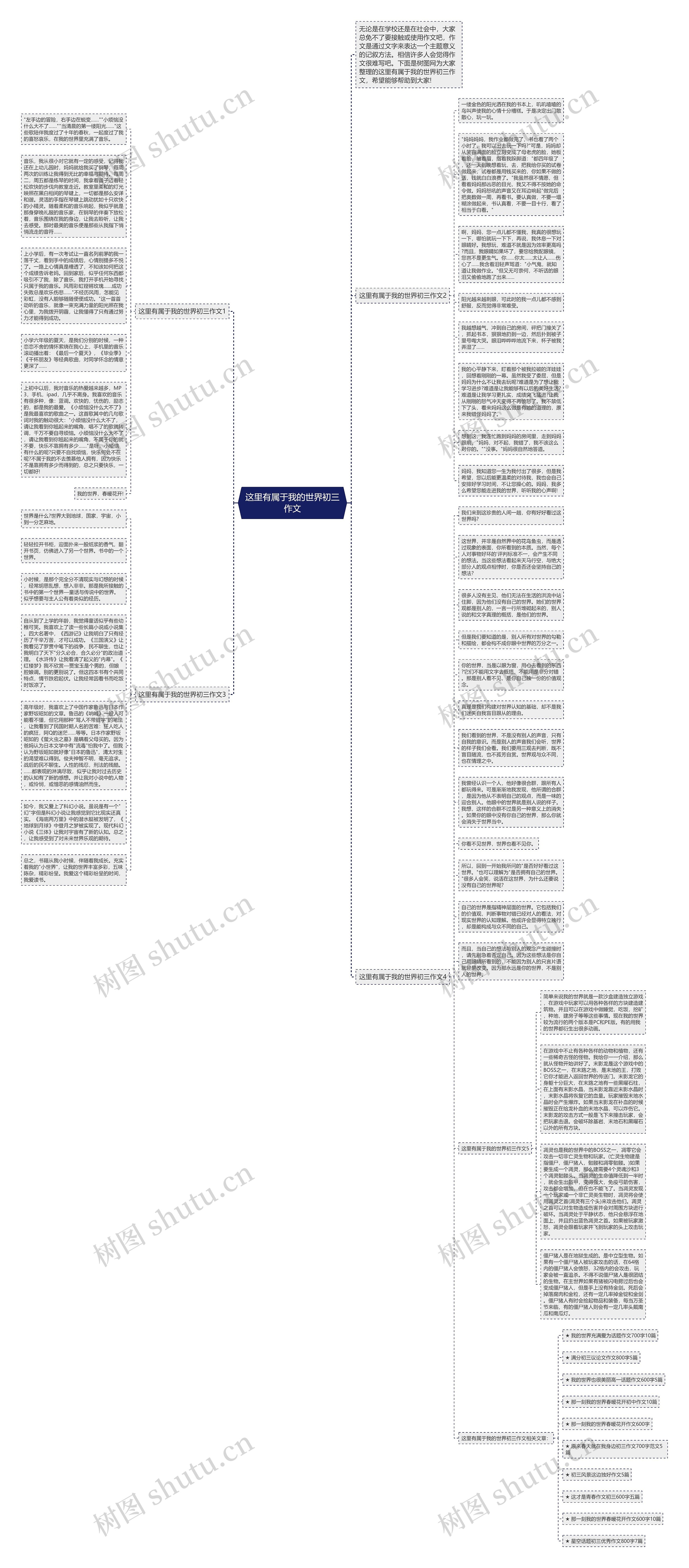 这里有属于我的世界初三作文思维导图