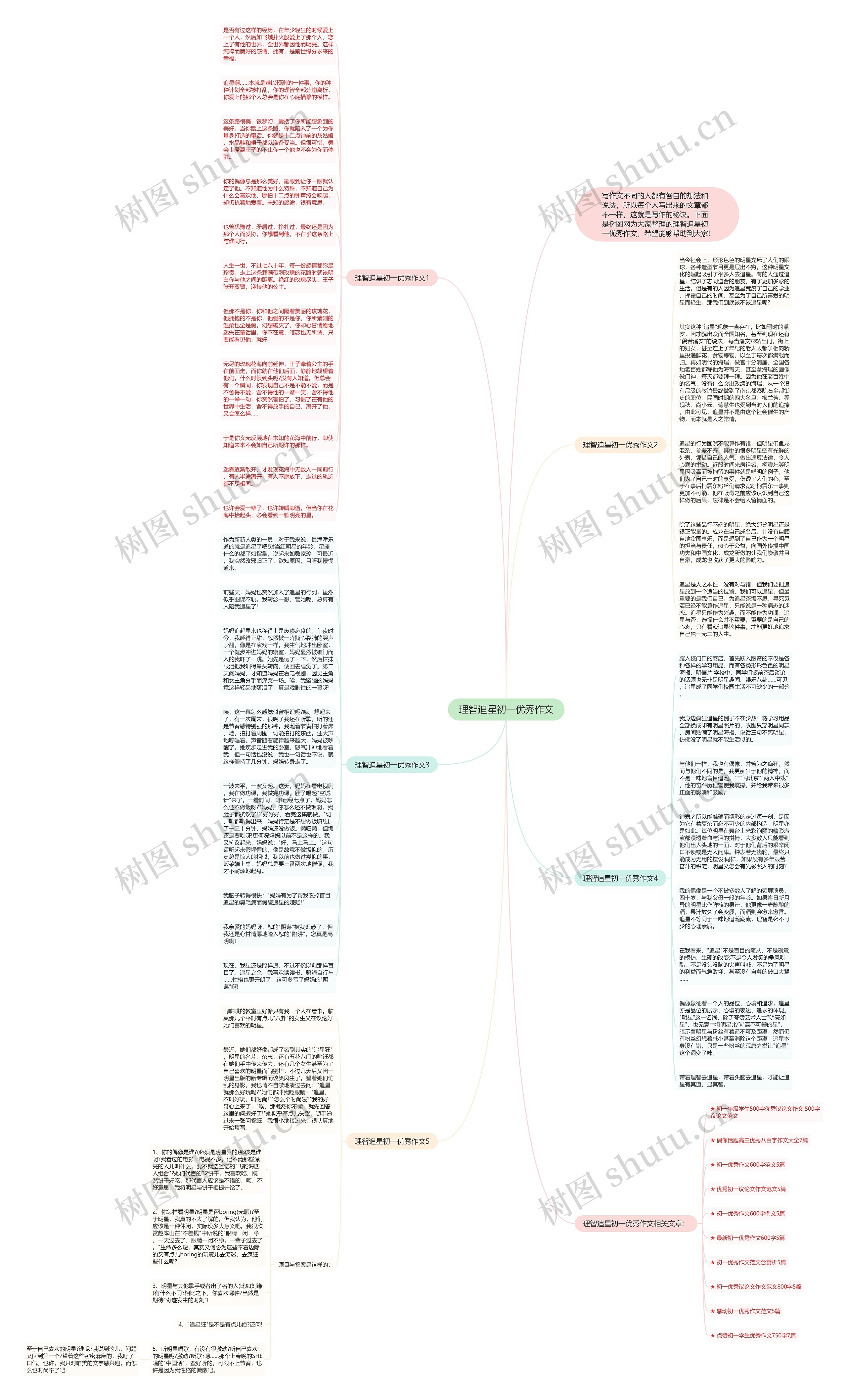 理智追星初一优秀作文思维导图