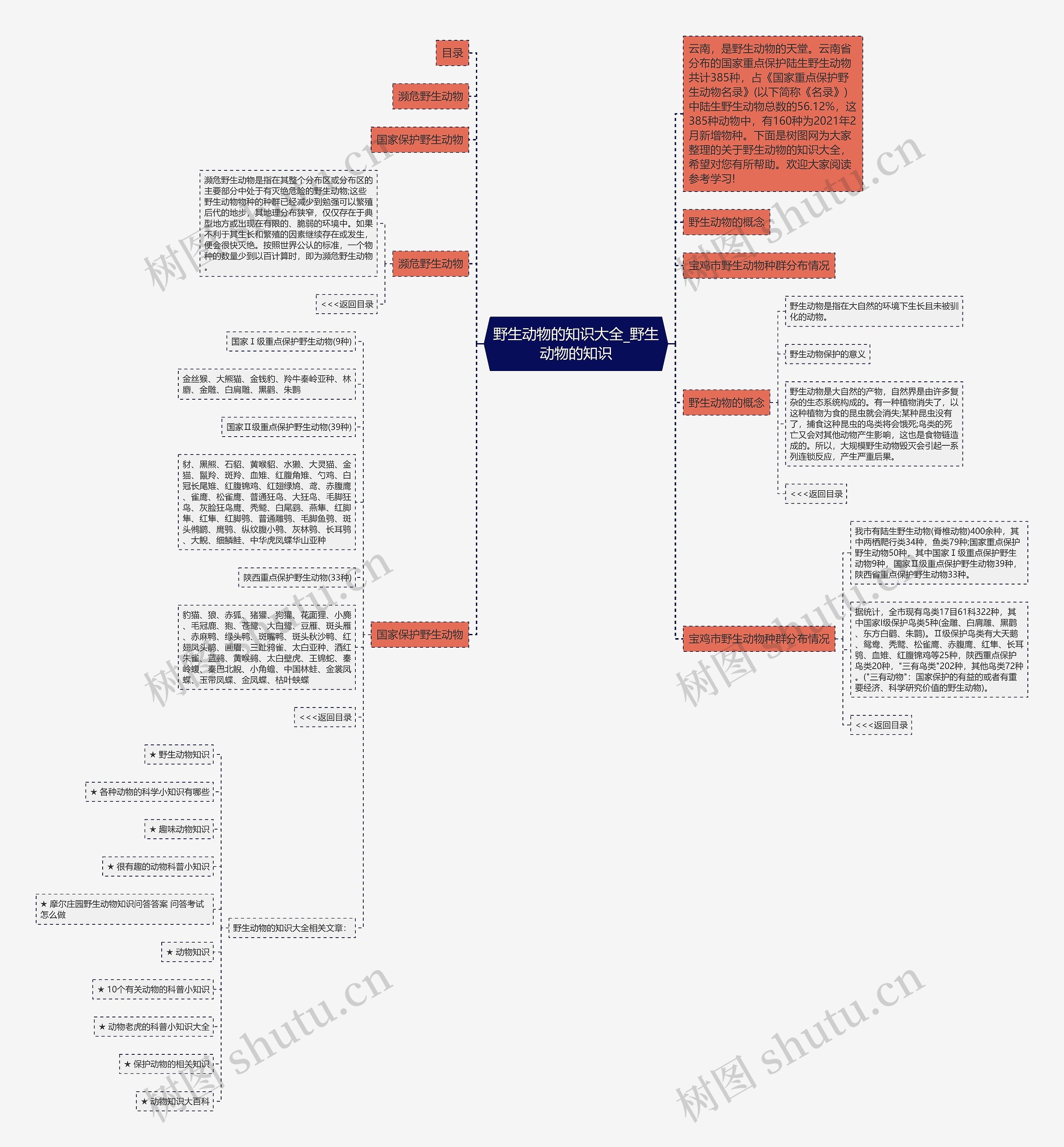 野生动物的知识大全_野生动物的知识思维导图