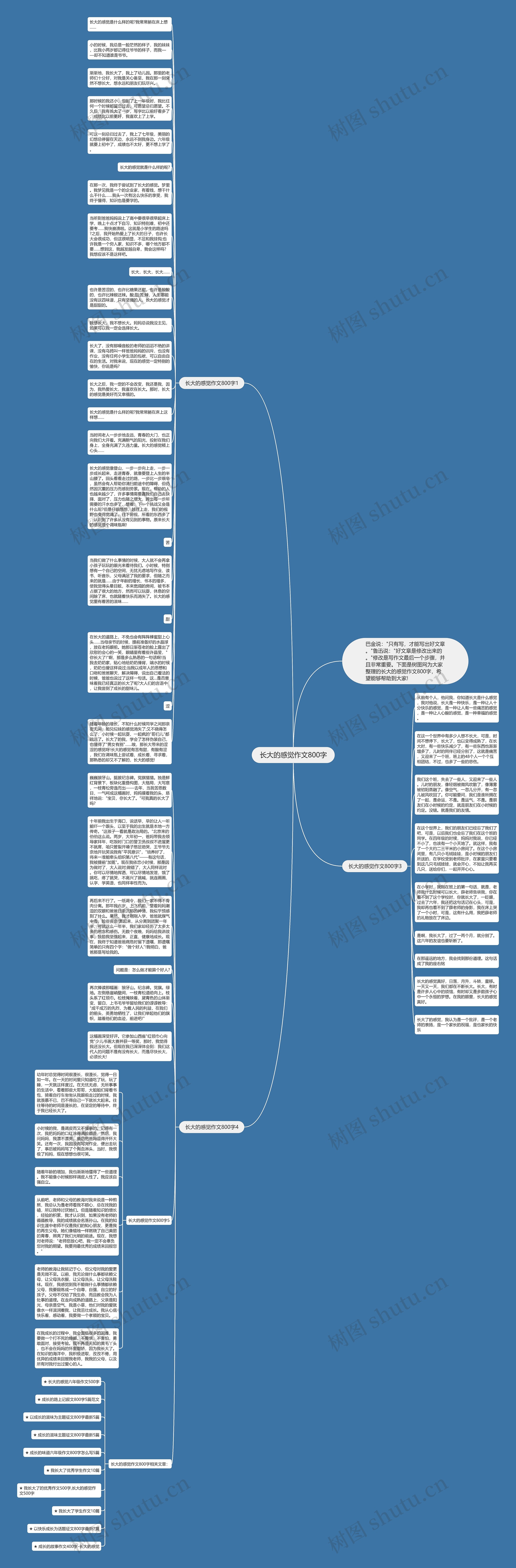 长大的感觉作文800字思维导图
