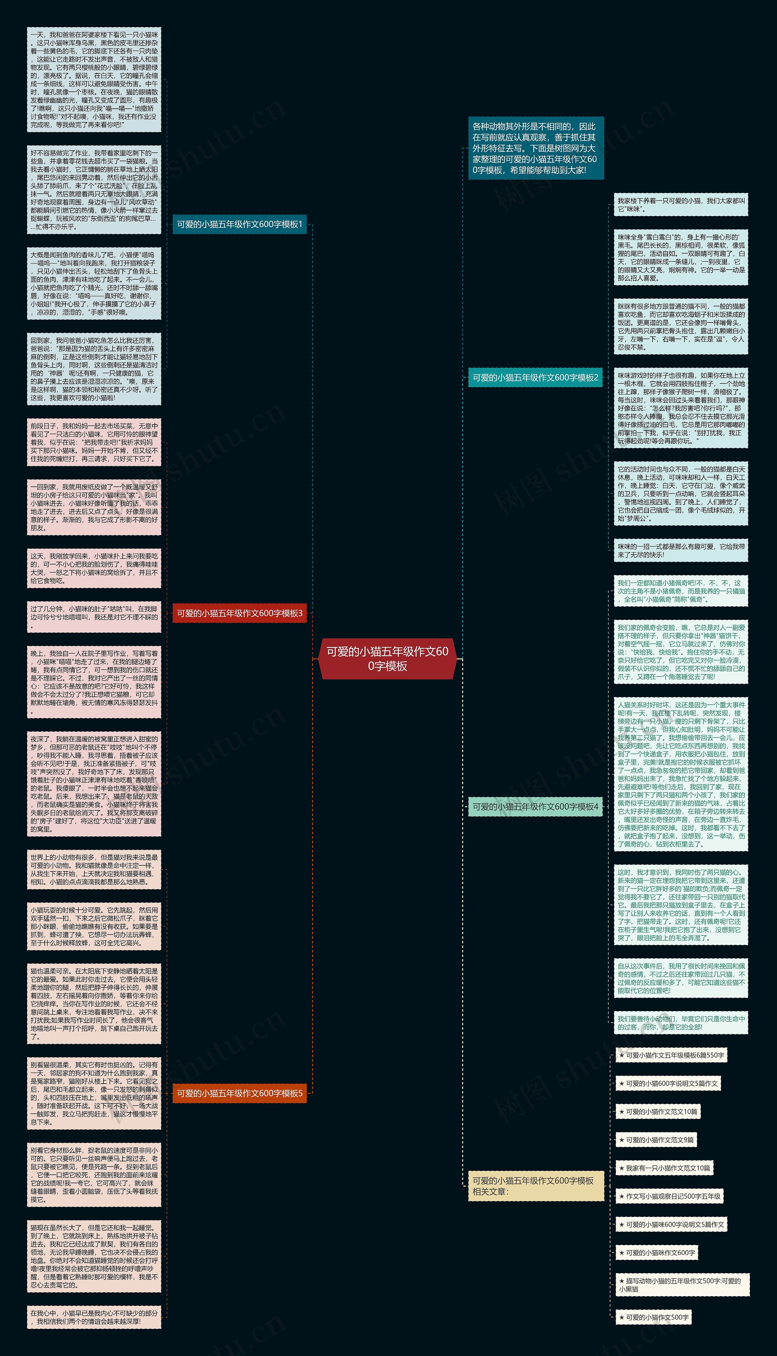 可爱的小猫五年级作文600字思维导图