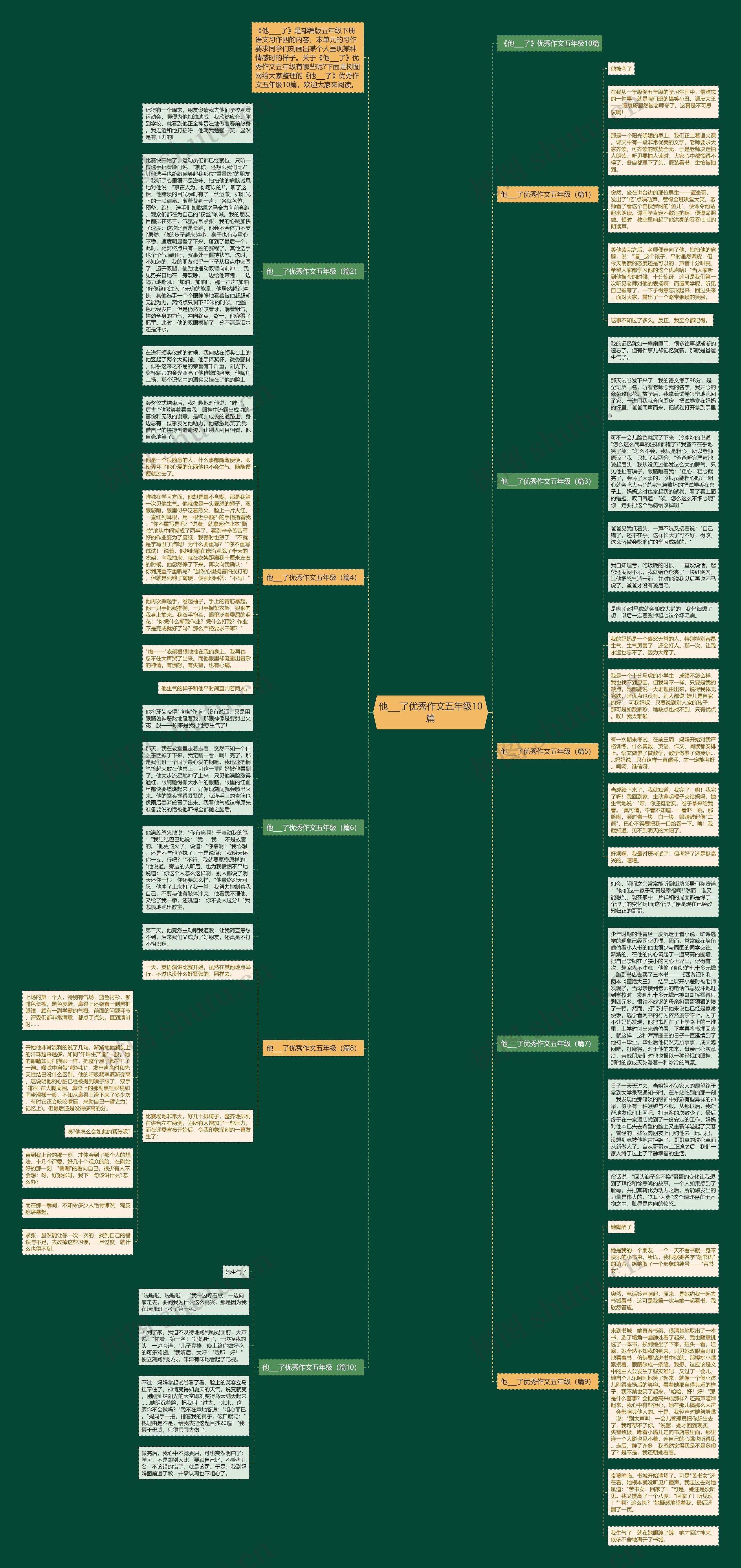 他___了优秀作文五年级10篇思维导图