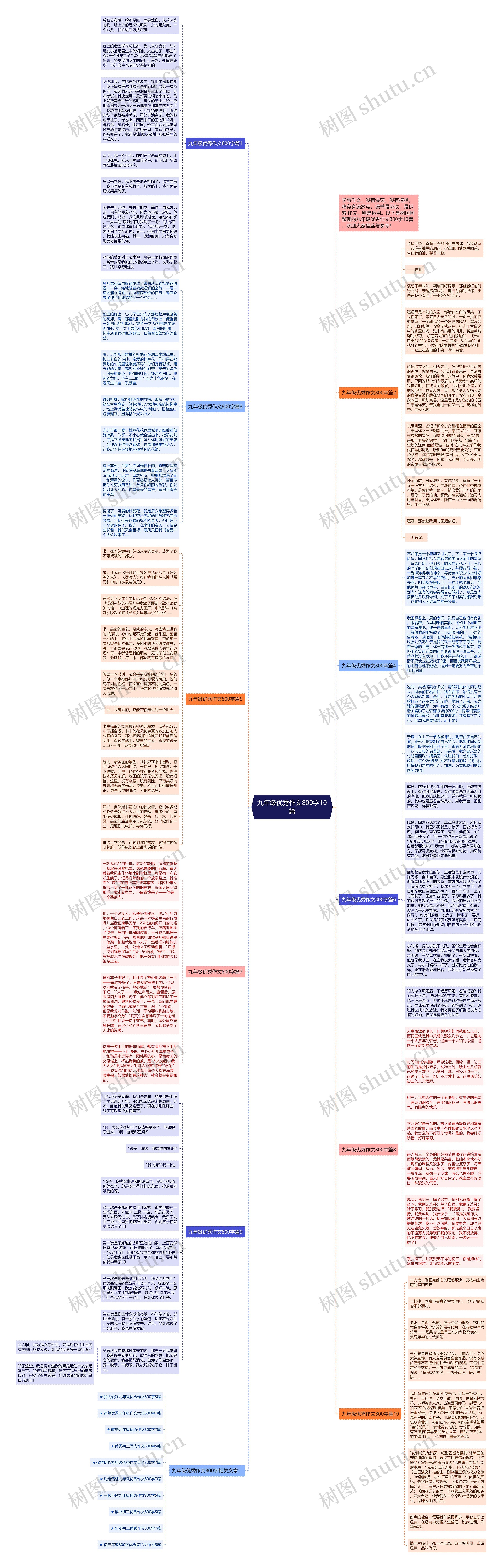 九年级优秀作文800字10篇思维导图