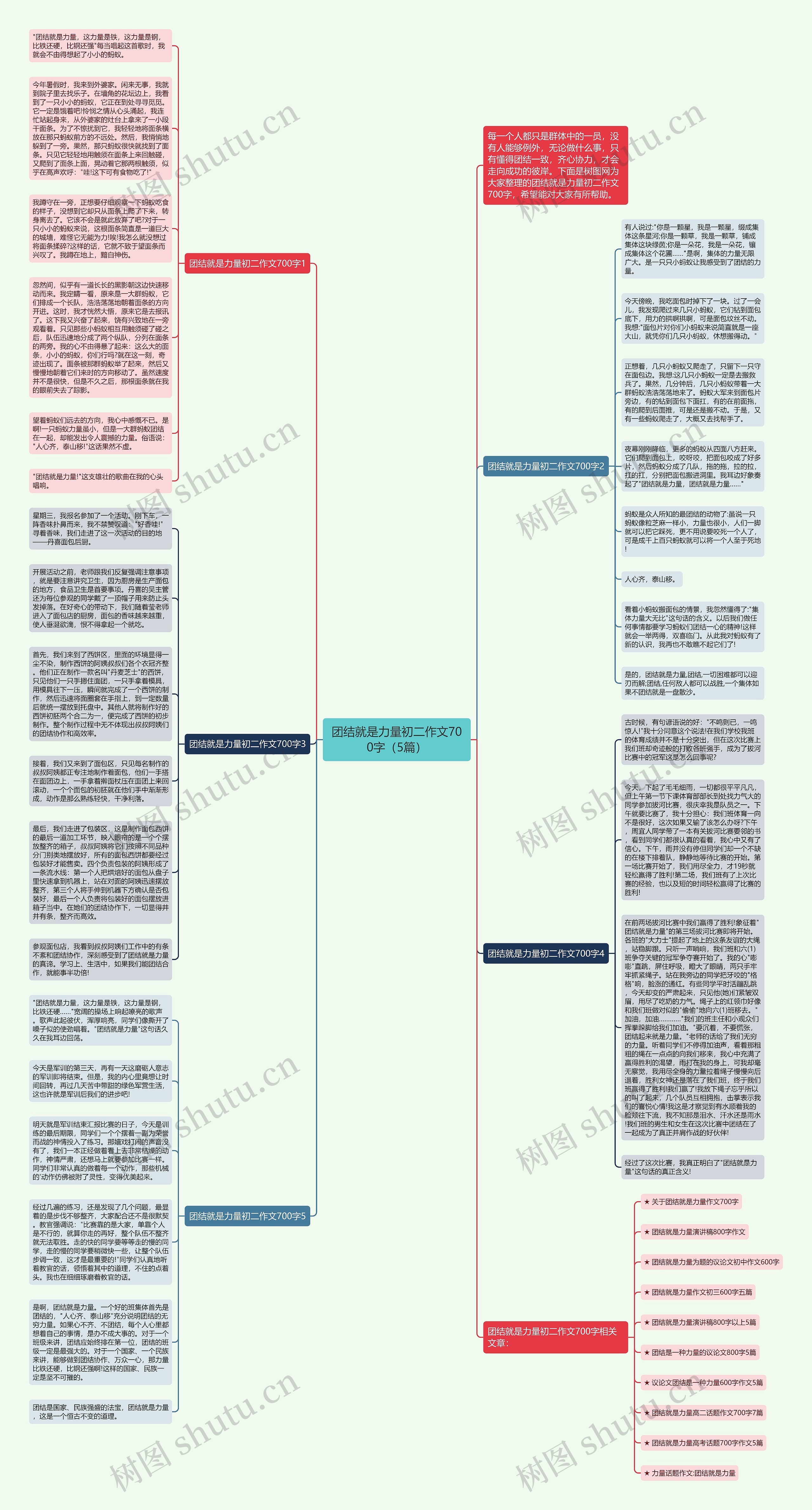 团结就是力量初二作文700字（5篇）思维导图