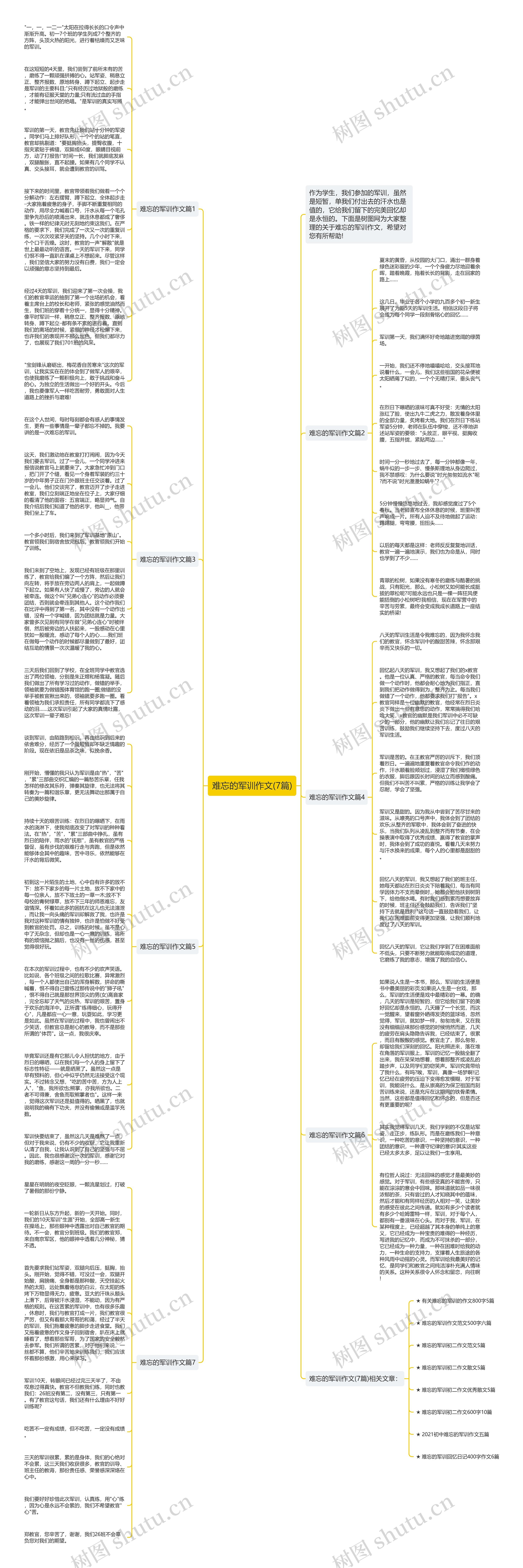 难忘的军训作文(7篇)思维导图
