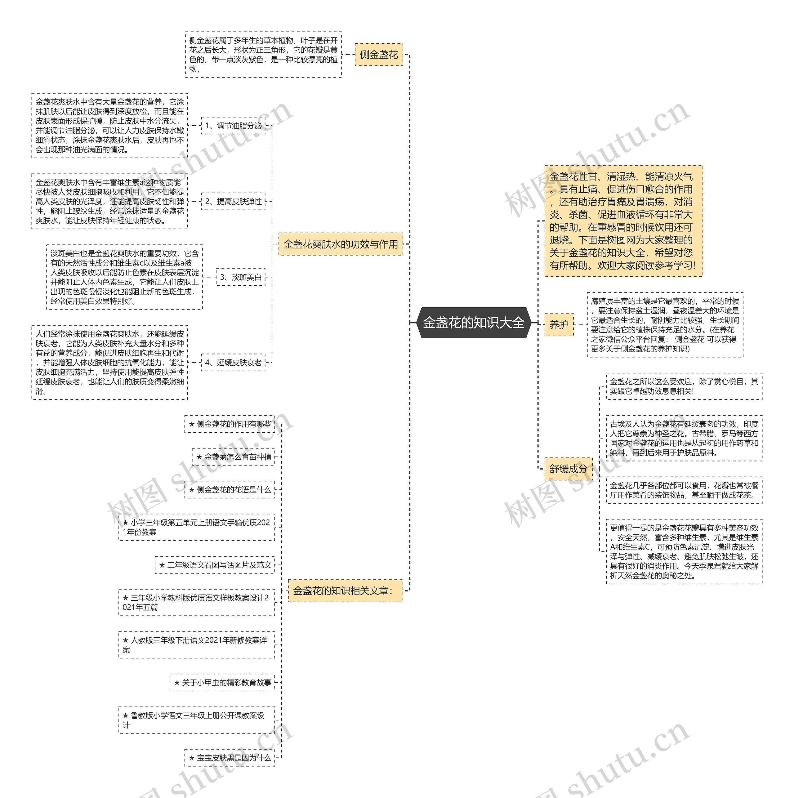 金盏花的知识大全思维导图